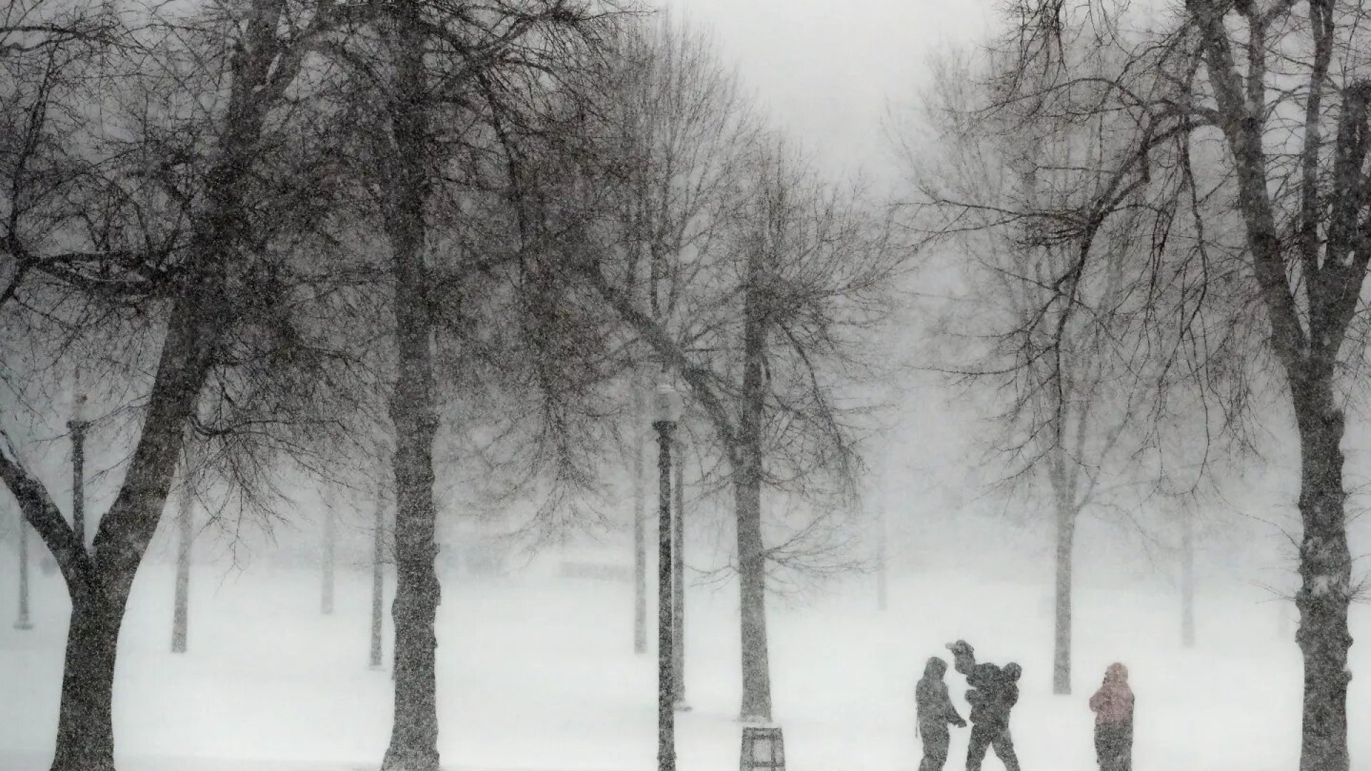Clima invernal: La Niña podría desarrollarse este otoño