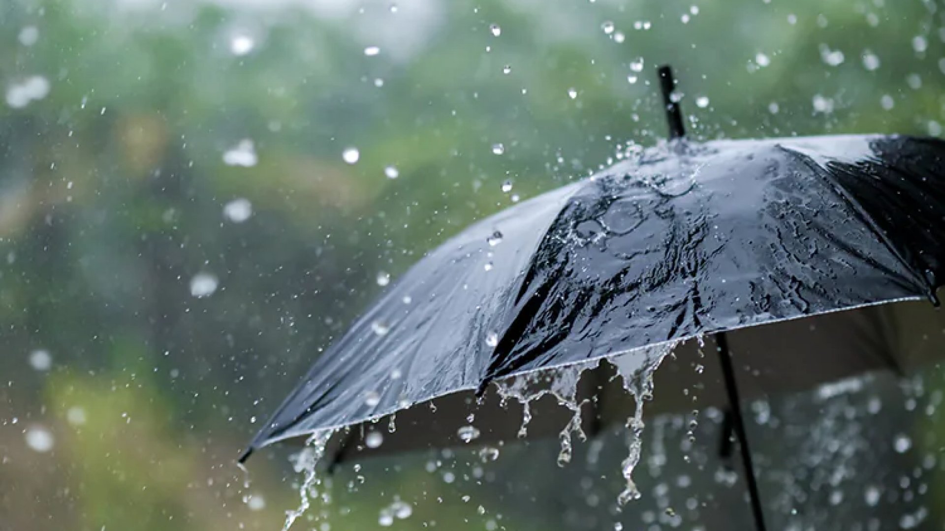 Se prevén fuertes lluvias en el sureste y nuevo frente frío 6 al noroeste de México