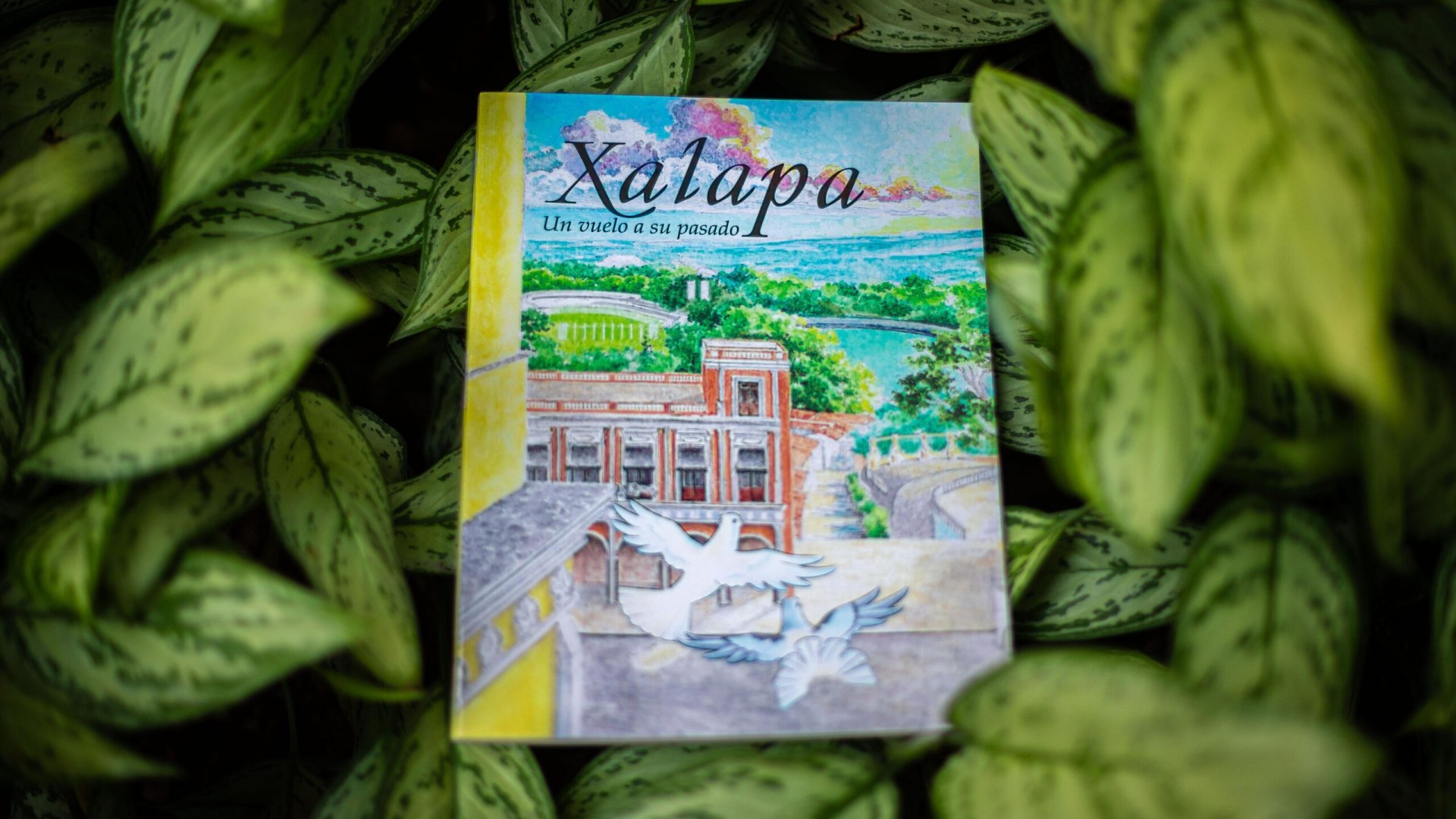 Presentan “Xalapa, un vuelo a su pasado”