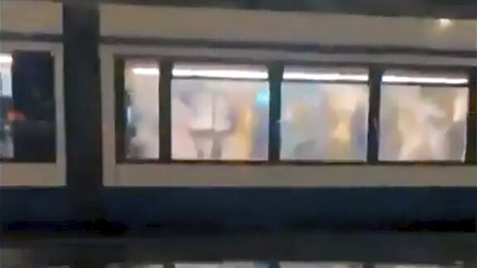 Agitadores antisemitas causan disturbios en Ámsterdam