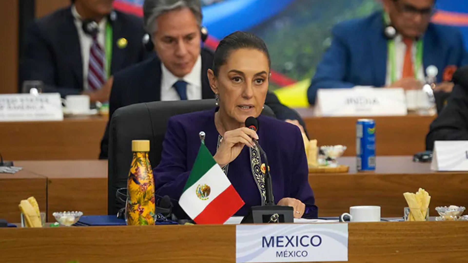 G20: Sheinbaum pide destinar 1% del gasto militar a reforestación con Sembrando Vida