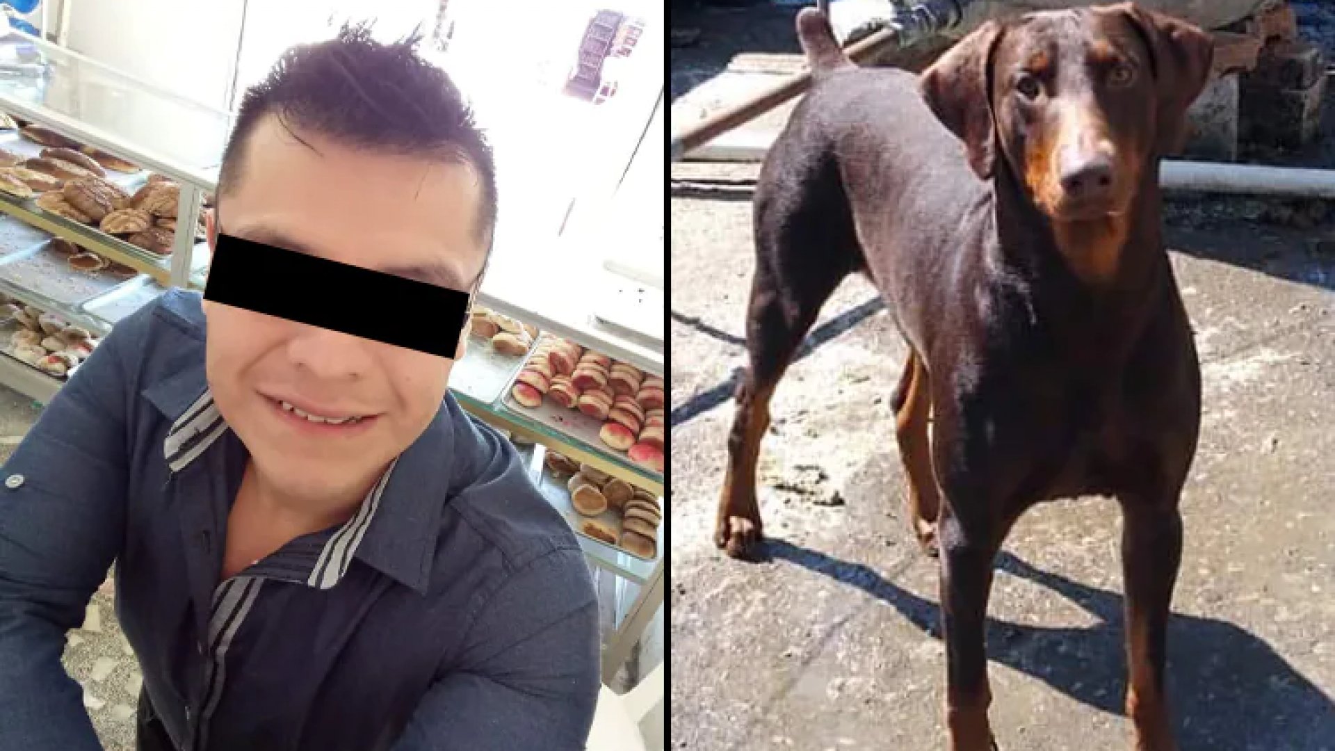 En Huatusco, hallan sin vida a animalista y a su mascota
