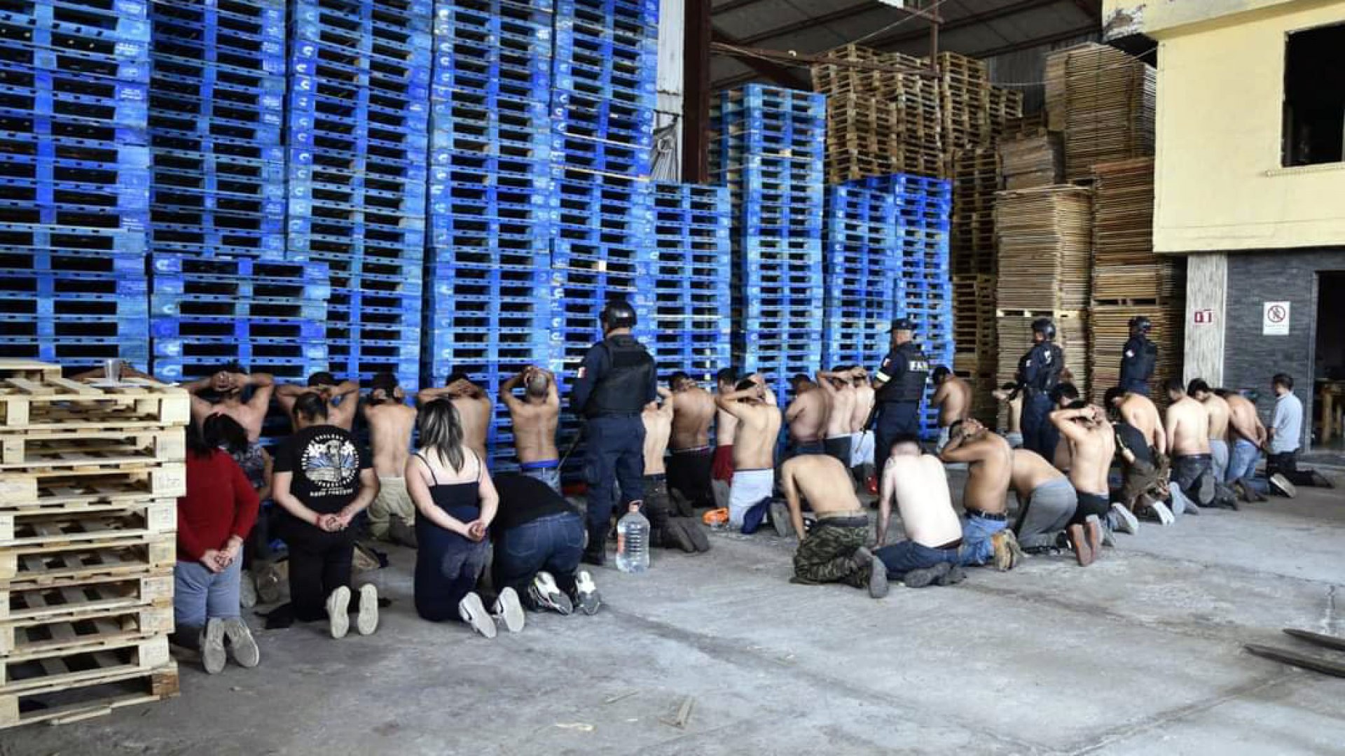 Incautan 27 animales exóticos en inmueble al oeste de la CDMX; Hay 41 detenidos