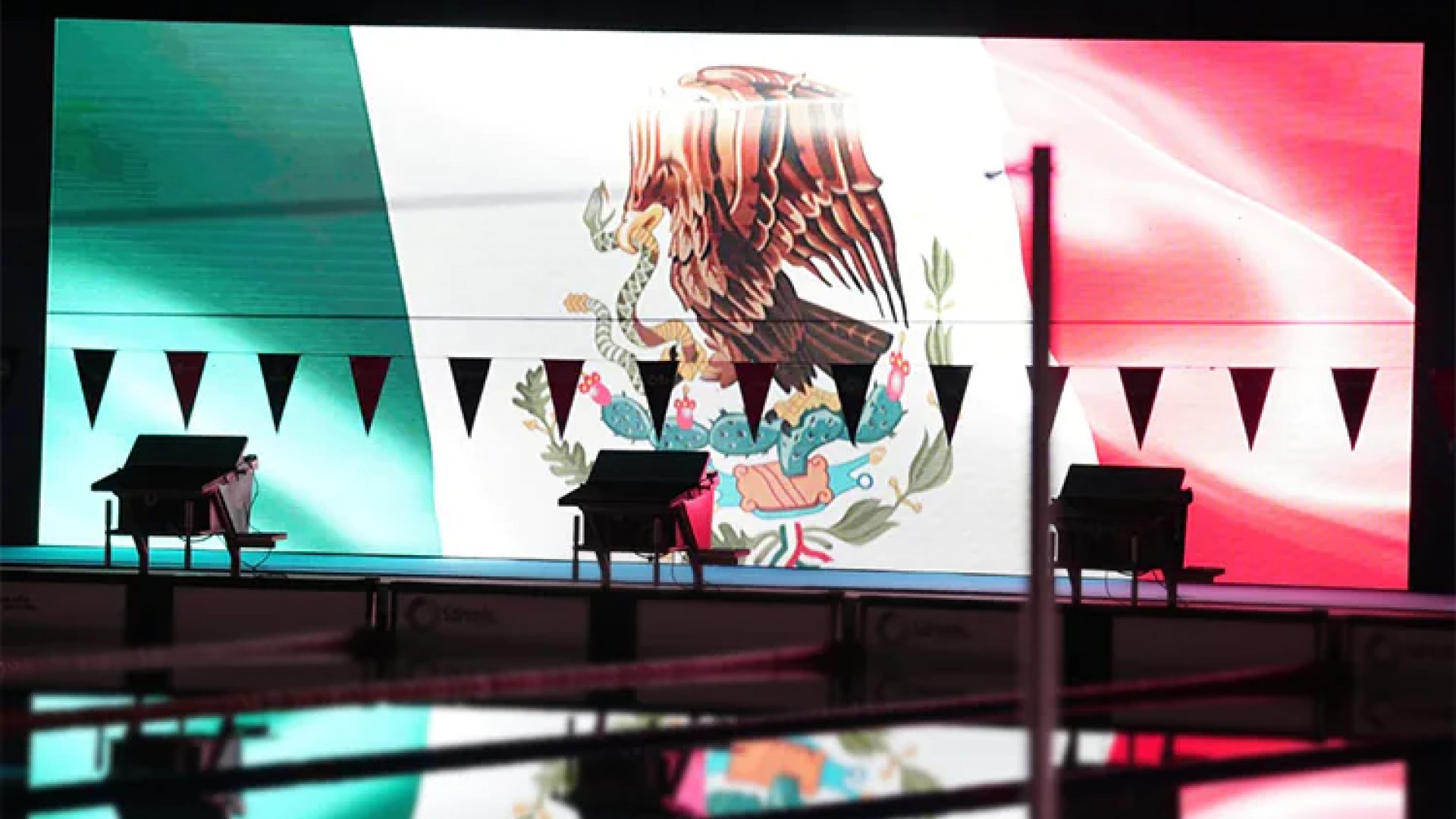 México lidera medallero en la Serie Mundial de Paranatación 2024