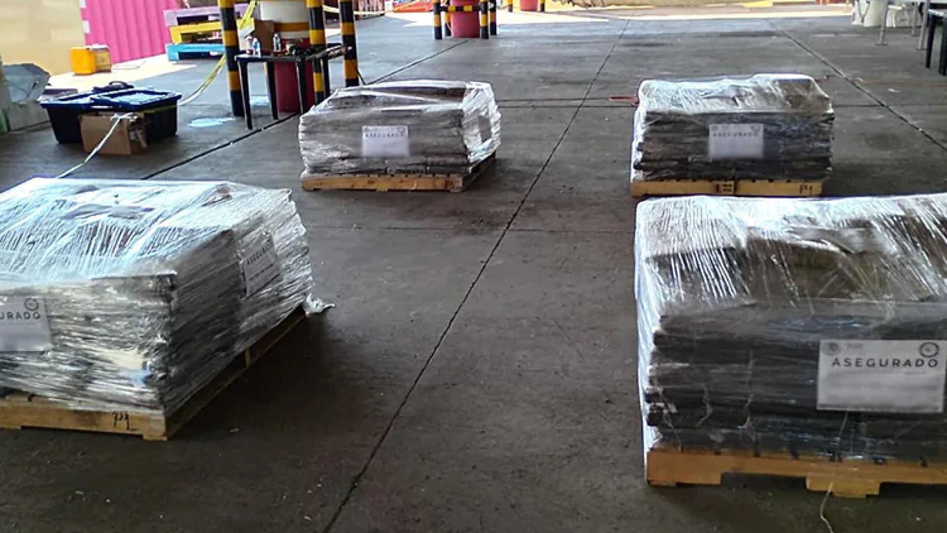 Aseguran más de 700 kilos de marihuana en el Puerto de Veracruz