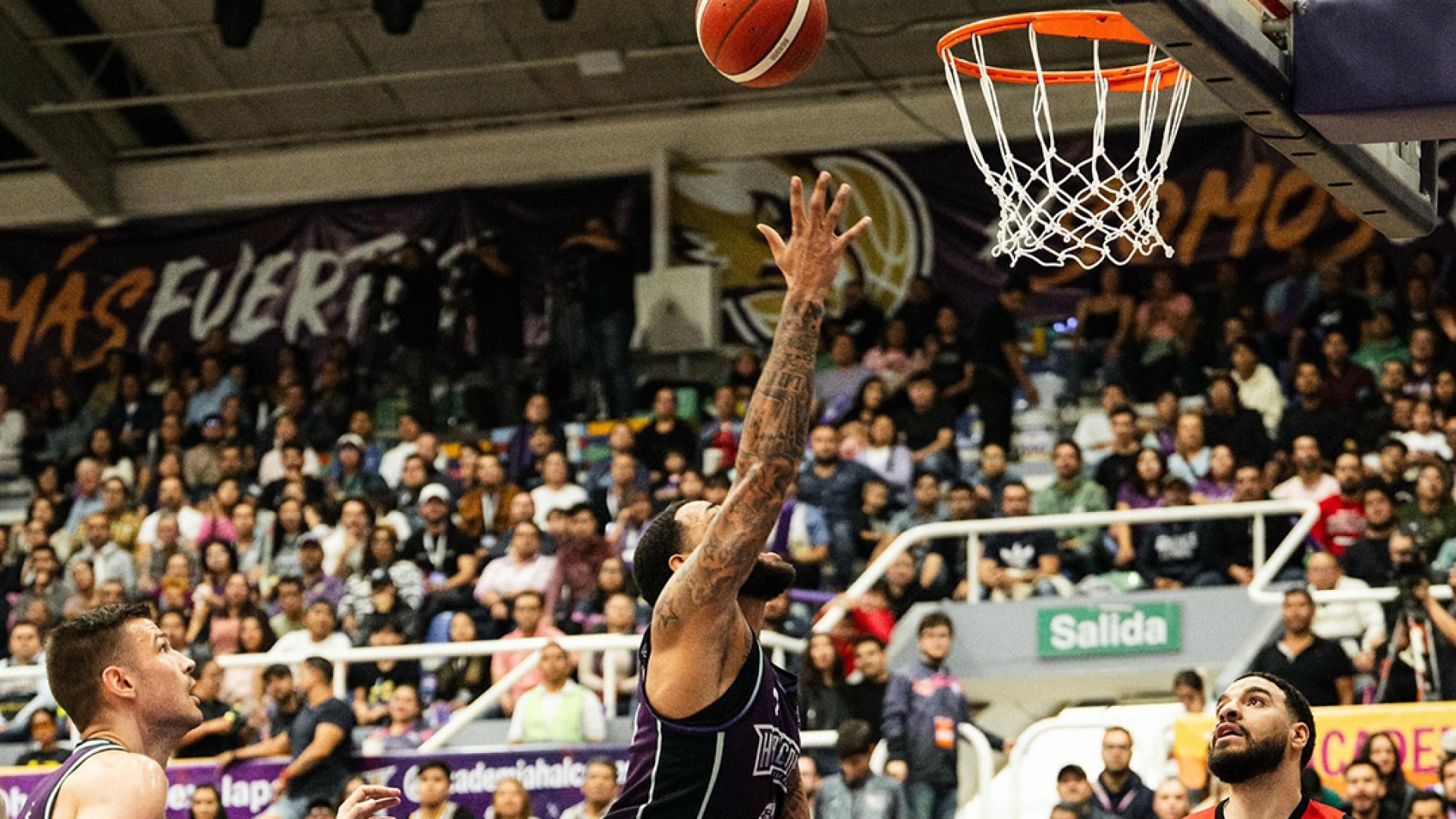 Halcones de Xalapa vuela en casa y se acerca en la Serie Final