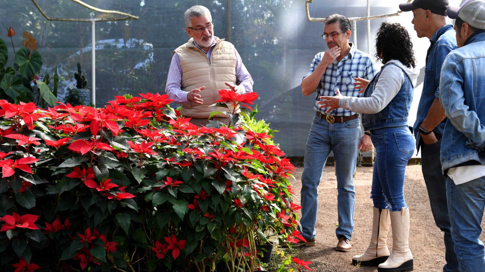 Xalapa continuará siendo la Ciudad de las Flores: Alberto Islas