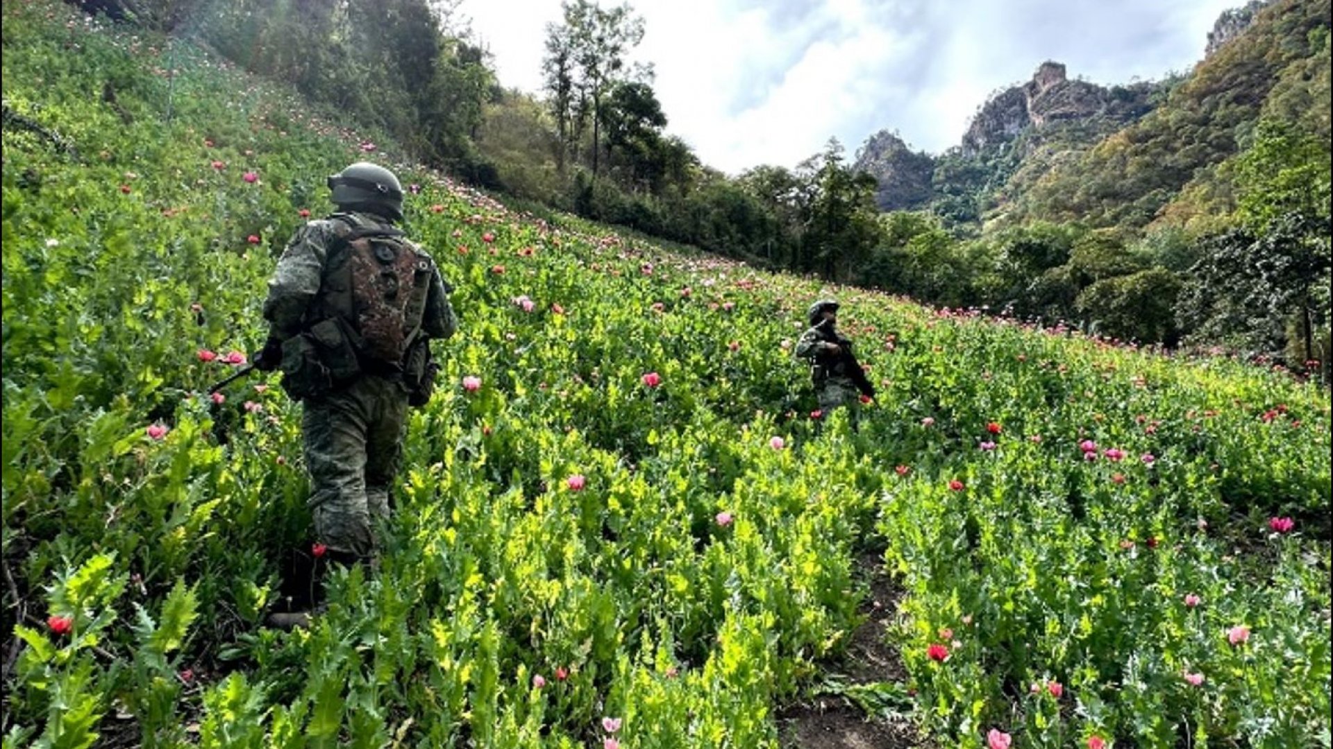 Informe de las operaciones relevantes en seguridad del país - 05/12/2024