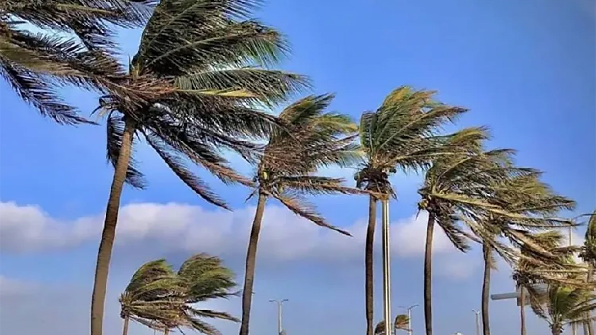 Se esperan rachas de viento en el norte y lluvias aisladas en el sureste de México