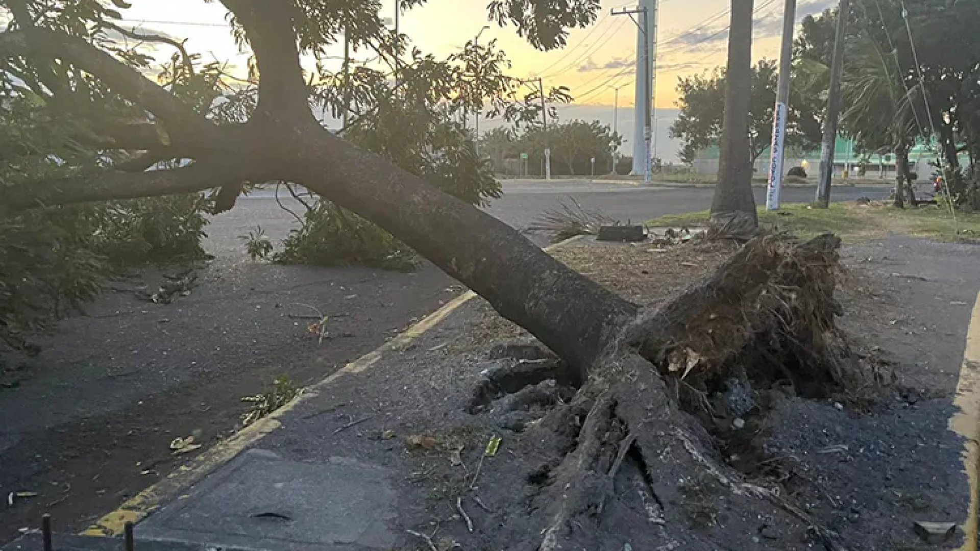 Veracruz y Boca del Río sufren estragos por viento norte asociado al frente frío 14