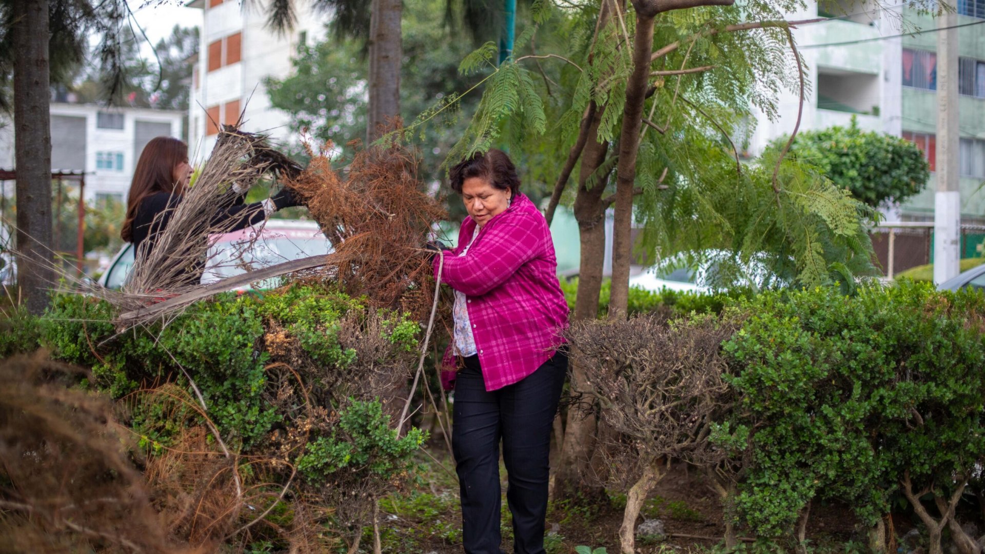 Llega “Mi calle limpia” a Jardines de Xalapa