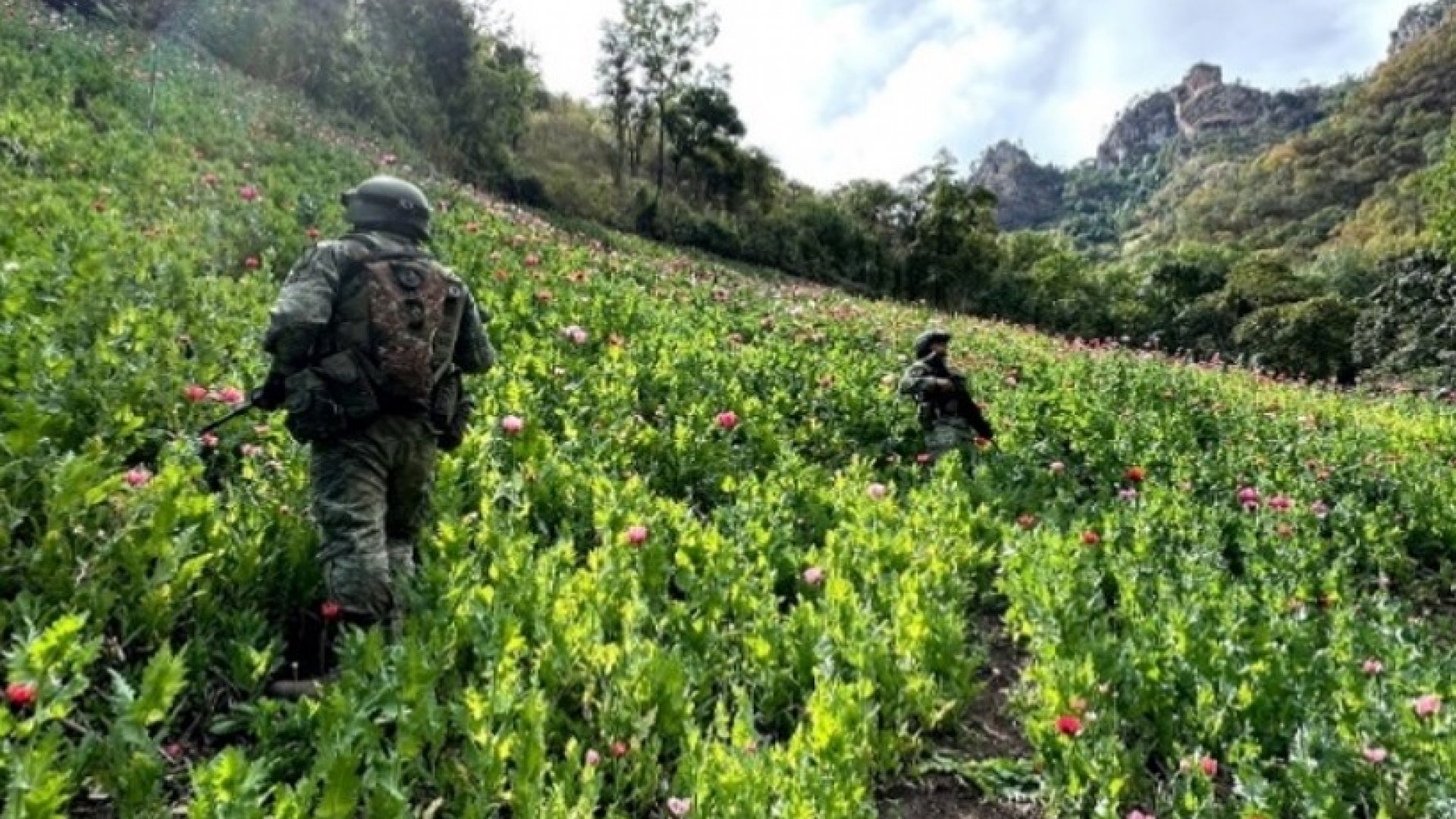 Informe de las operaciones relevantes en seguridad del país - 27/12/2024