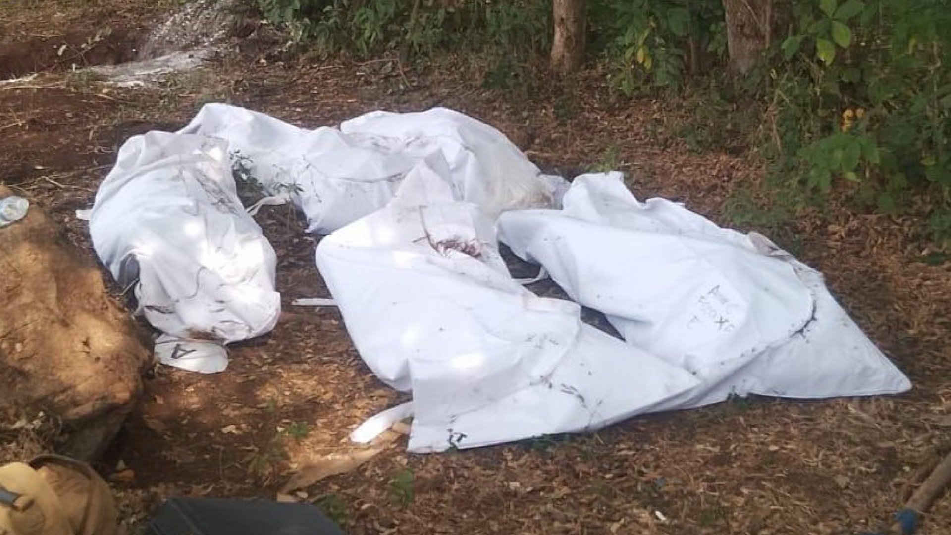 Chiapas: Van 31 cuerpos en fosas clandestinas en La Concordia y Palenque