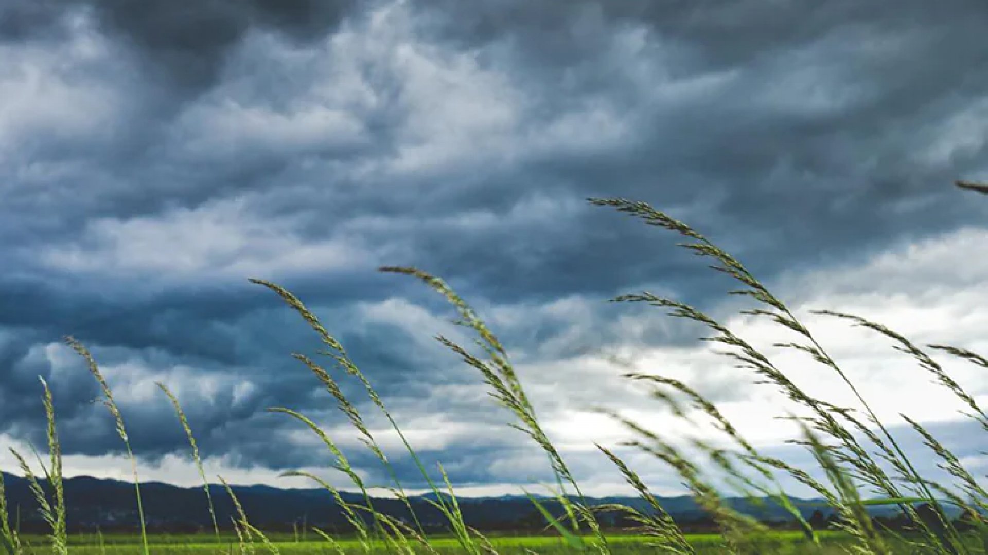 Frente frío 23 genera fuertes vientos y bajas temperaturas en México
