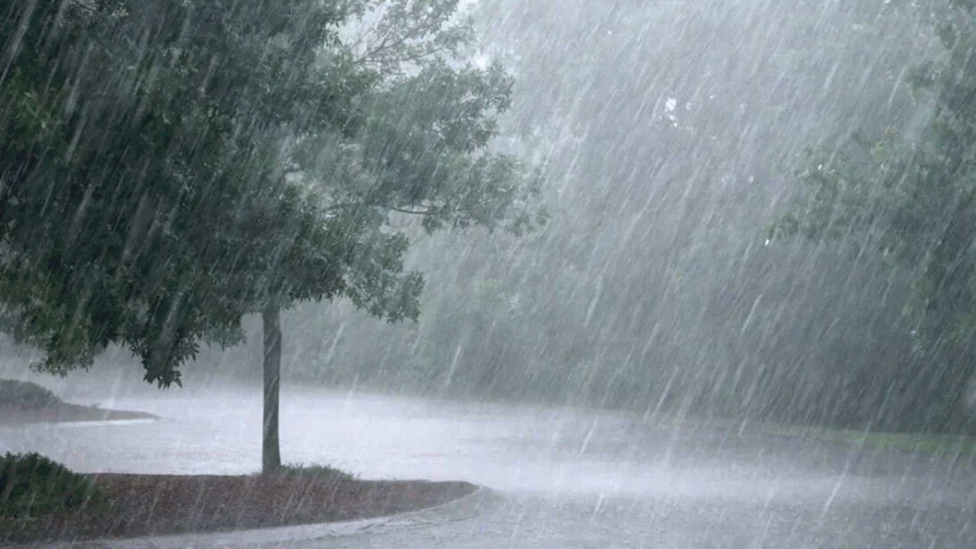Se pronostican lluvias muy fuertes en Veracruz y Tabasco