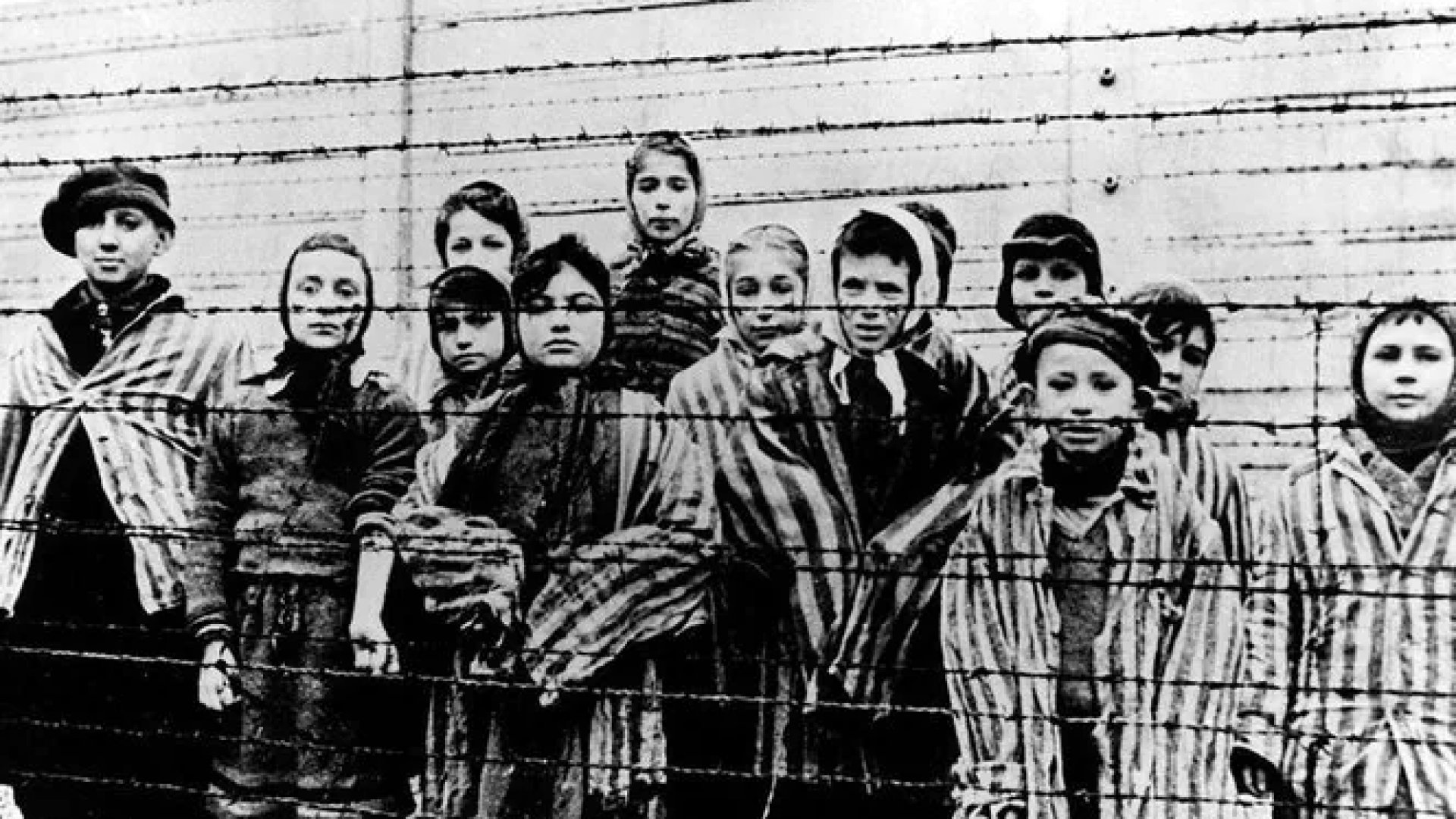 Auschwitz: Supervivientes reviven el Holocausto y alertan sobre creciente antisemitismo