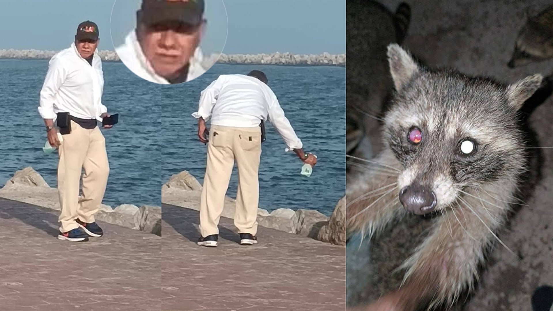 Denuncian maltrato animal: Captan a hombre rociando químicos a mapaches en Playa Miramar, Tamaulipas