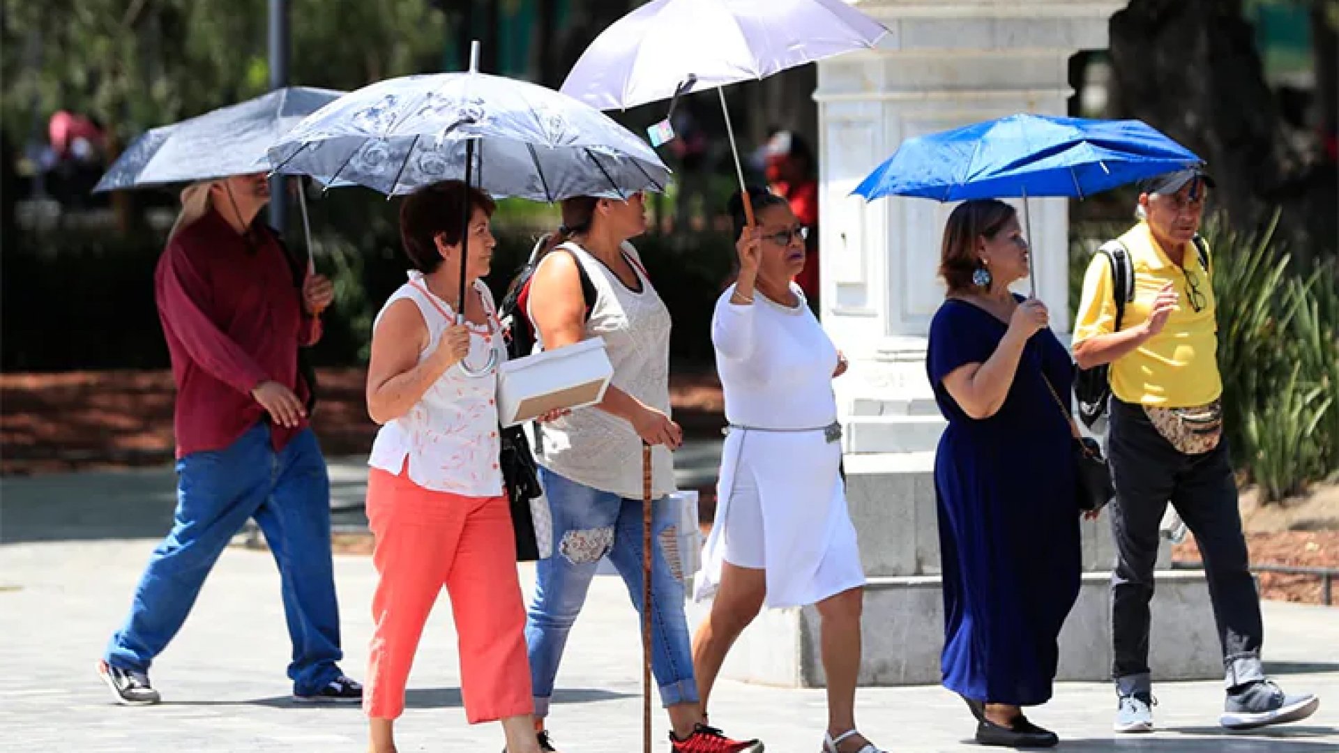 Clima: Se esperan vientos fuertes y ola de calor en gran parte de México