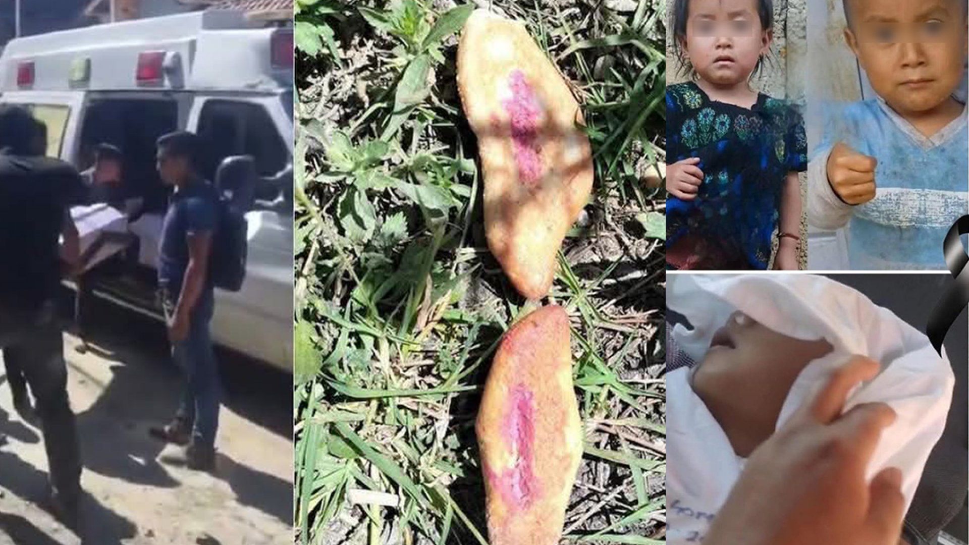 Tres niñas mueren en Chiapas tras comer pan envenenado destinado a perros callejeros