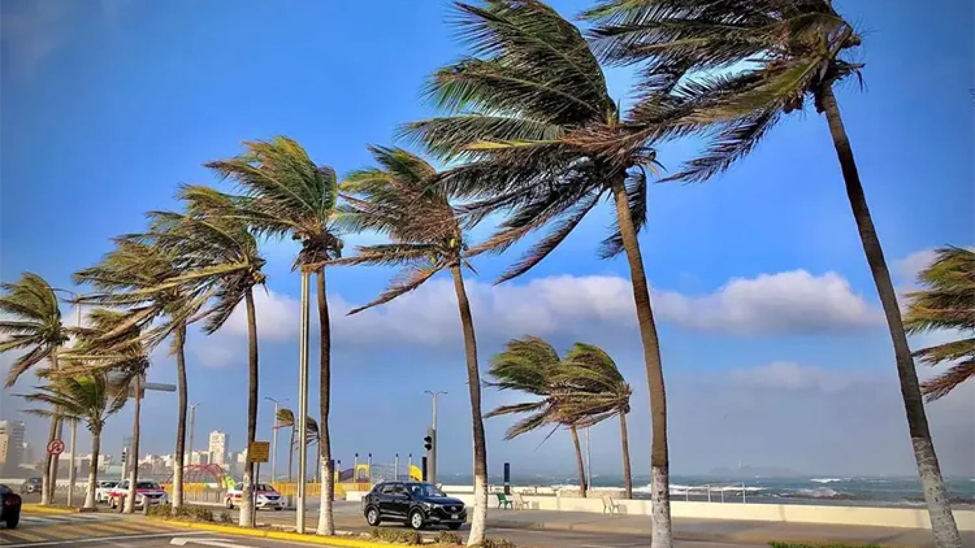 Clima: Se espera viento norte y lluvias aisladas; ola de calor persiste en gran parte de México