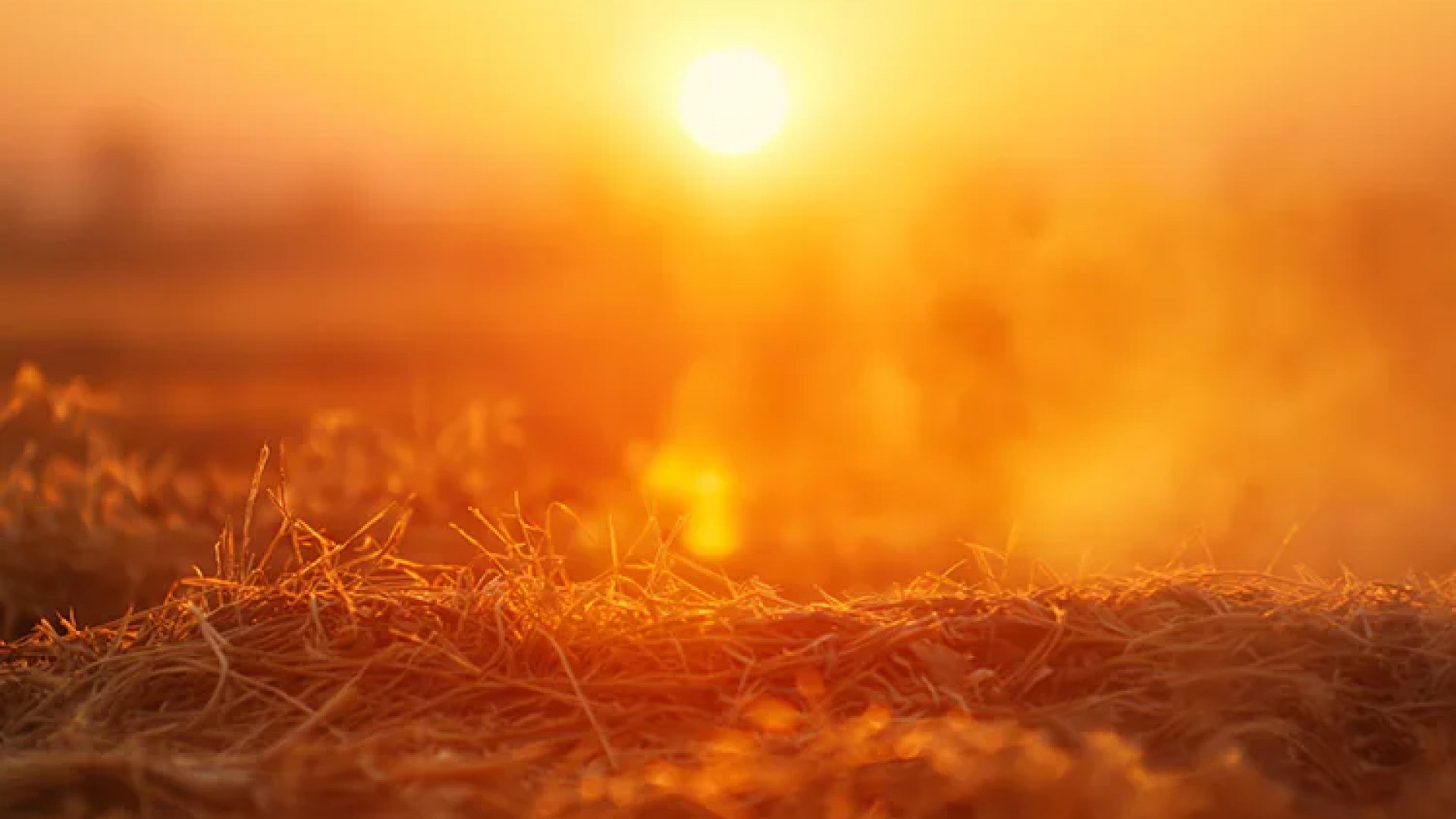 Clima en México: Se prevé ambiente de cálido a caluroso en la mayor parte del país