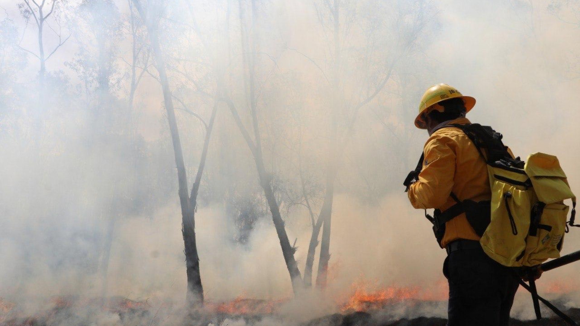 Aumentan incendios urbanos y forestales en Puebla durante 2025