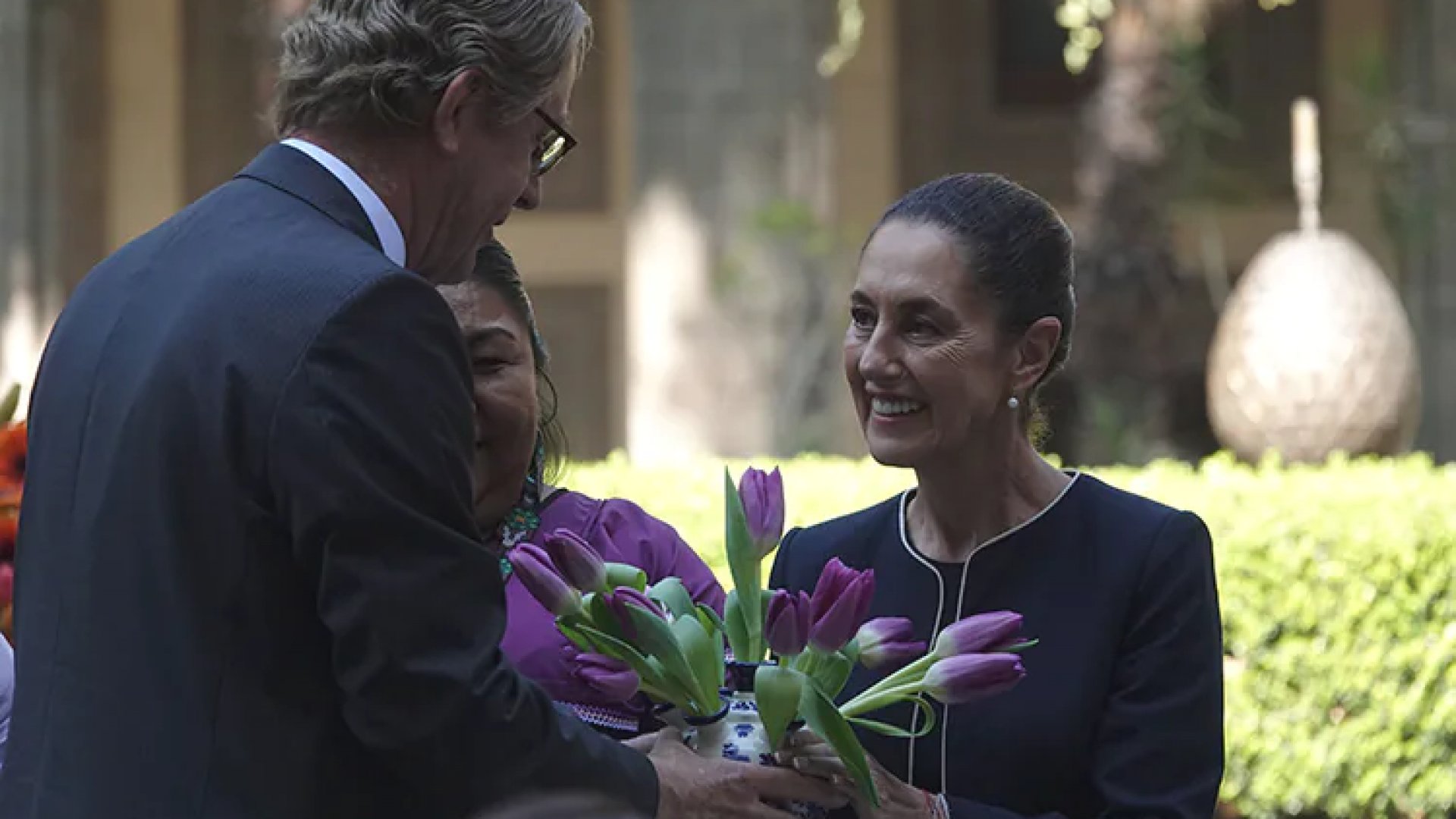 Sheinbaum encabeza presentación del tulipán de la mujer indígena nombrado por los Países Bajos