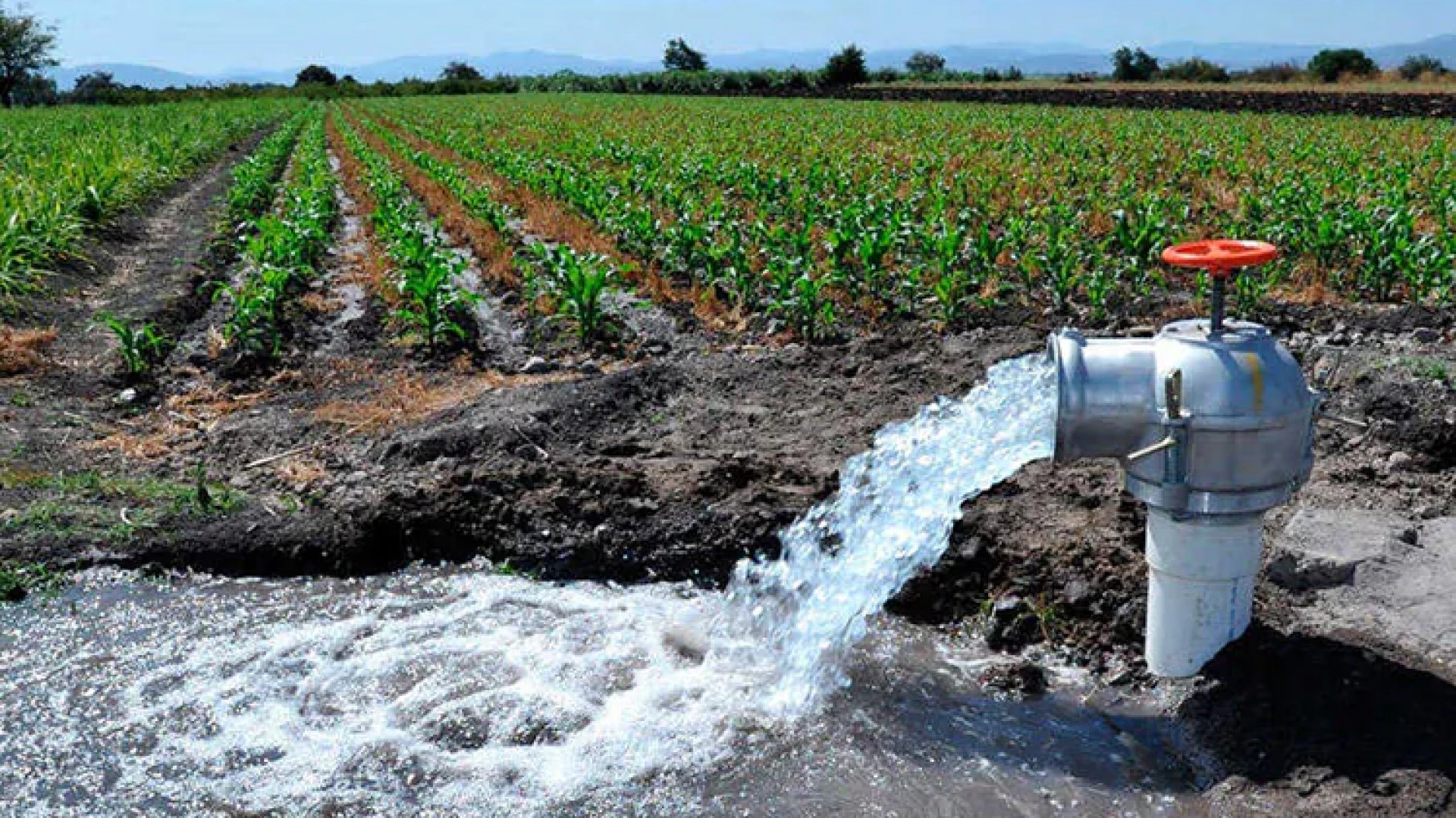 Conagua detecta siete mil inconsistencias en concesiones de agua en México
