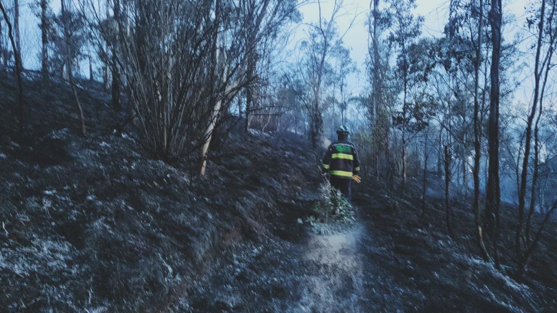 Ante la atención inmediata de incendios, los provocados tendrán penas severas