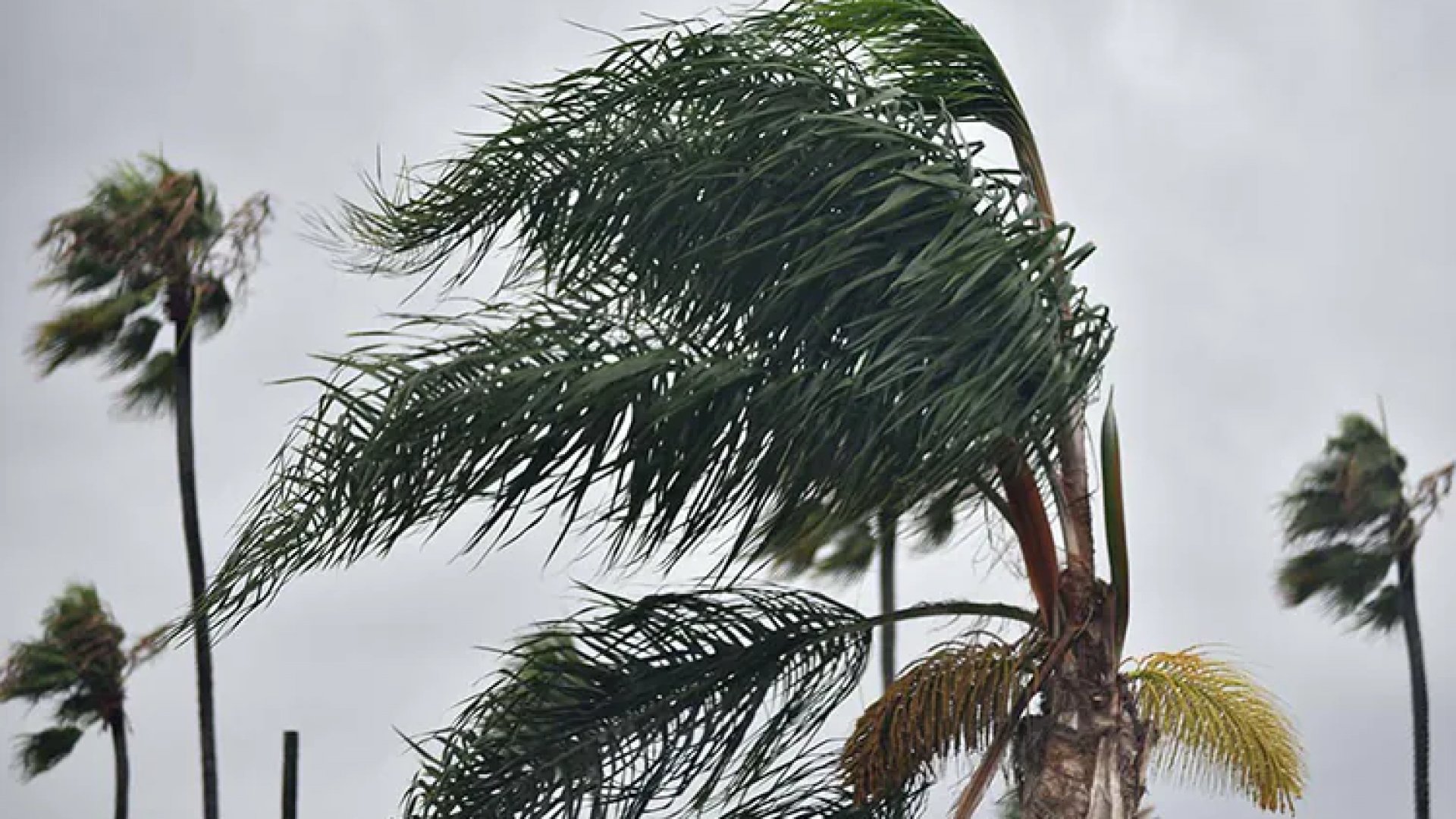 Clima | Se pronostica viento norte intenso y fuertes lluvias en zonas del golfo de México
