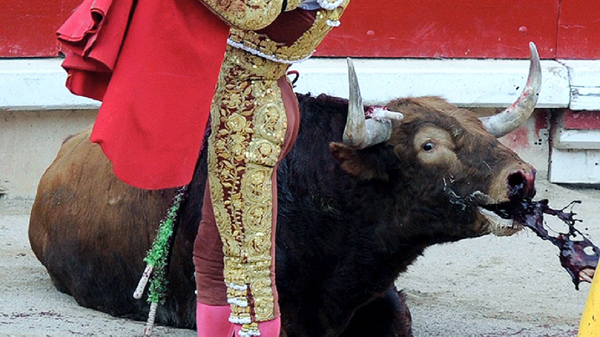 Ciudad de México prohíbe corridas de toros con violencia: «El espectáculo no justifica sufrimiento»