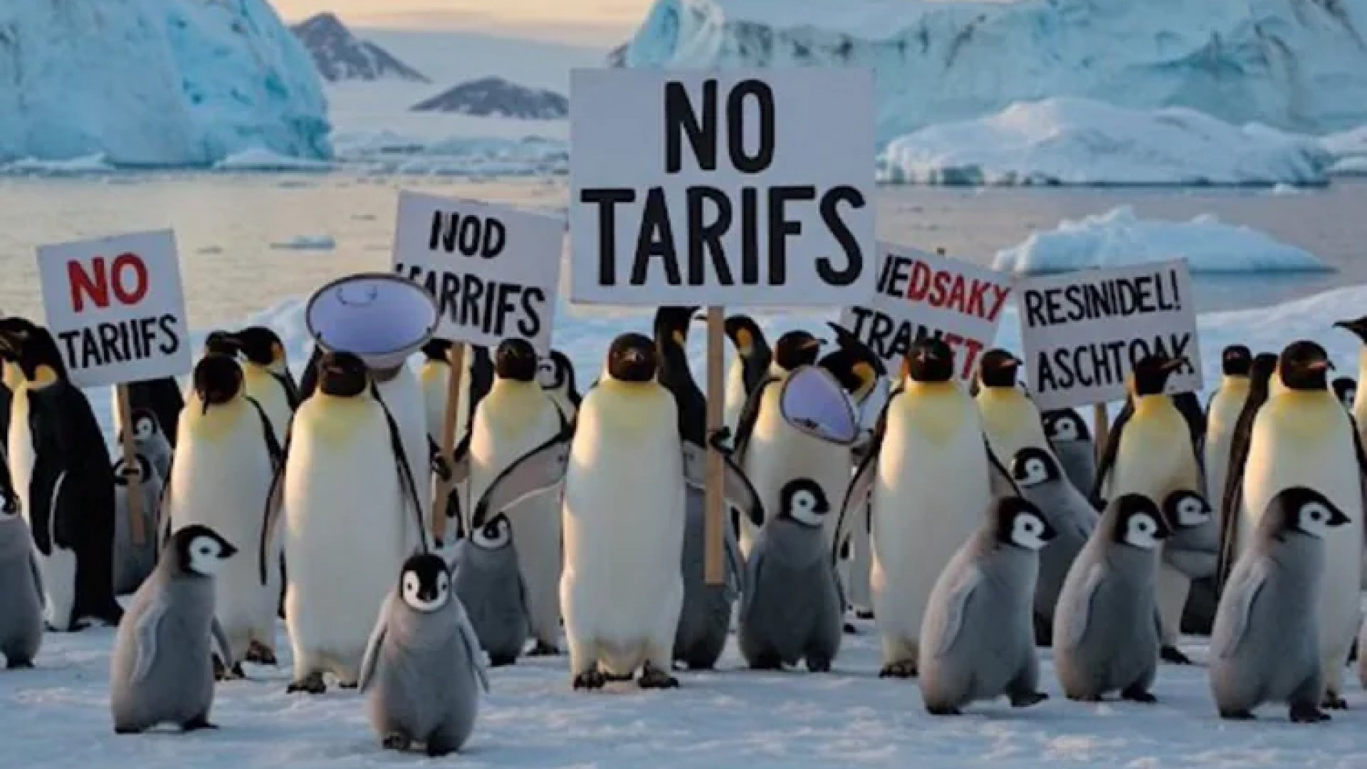 Trump impone aranceles a islas cerca de la Antártida donde solo habitan pingüinos