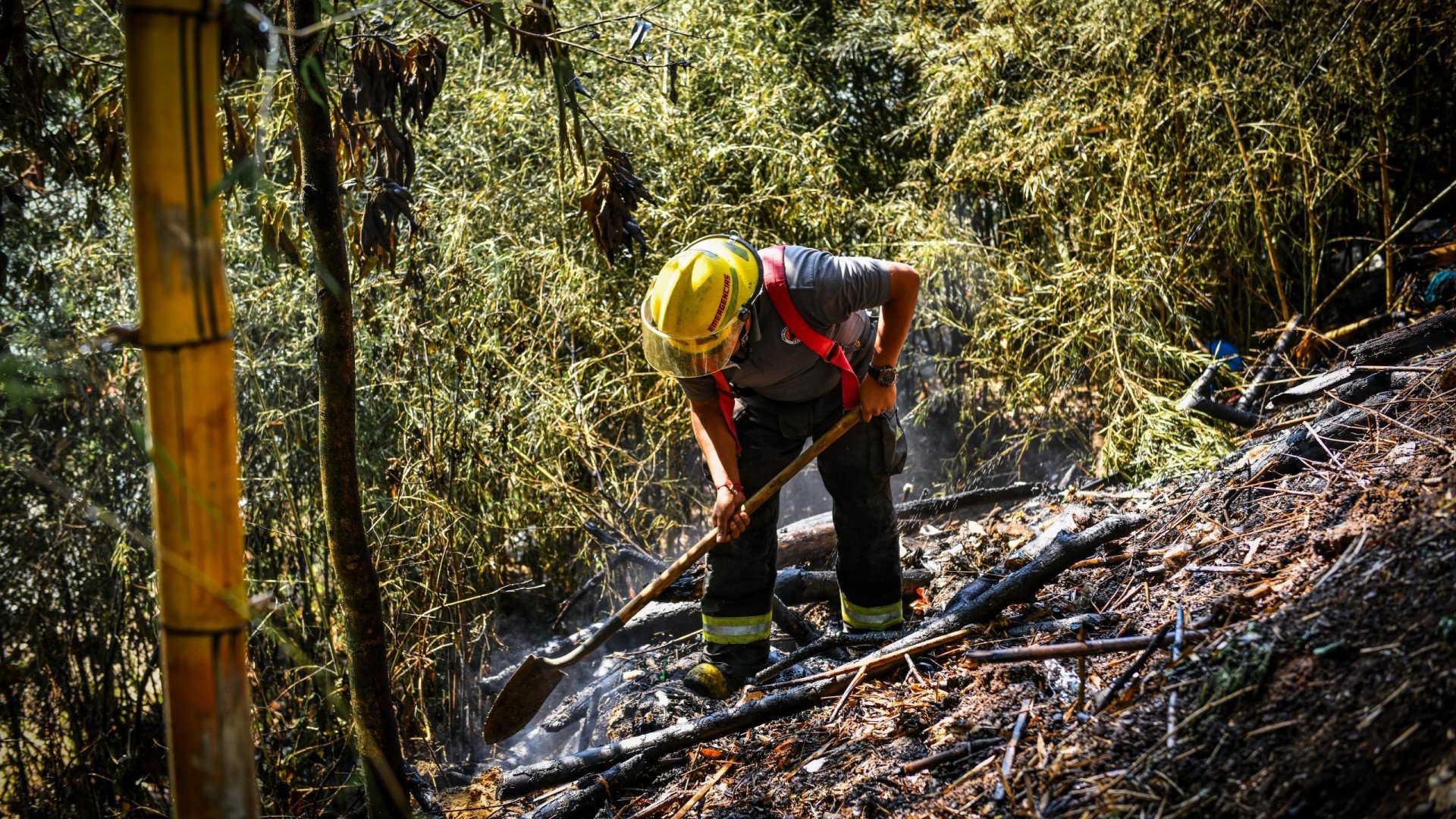 Controla PC Municipal incendio en zona de Los Lagos