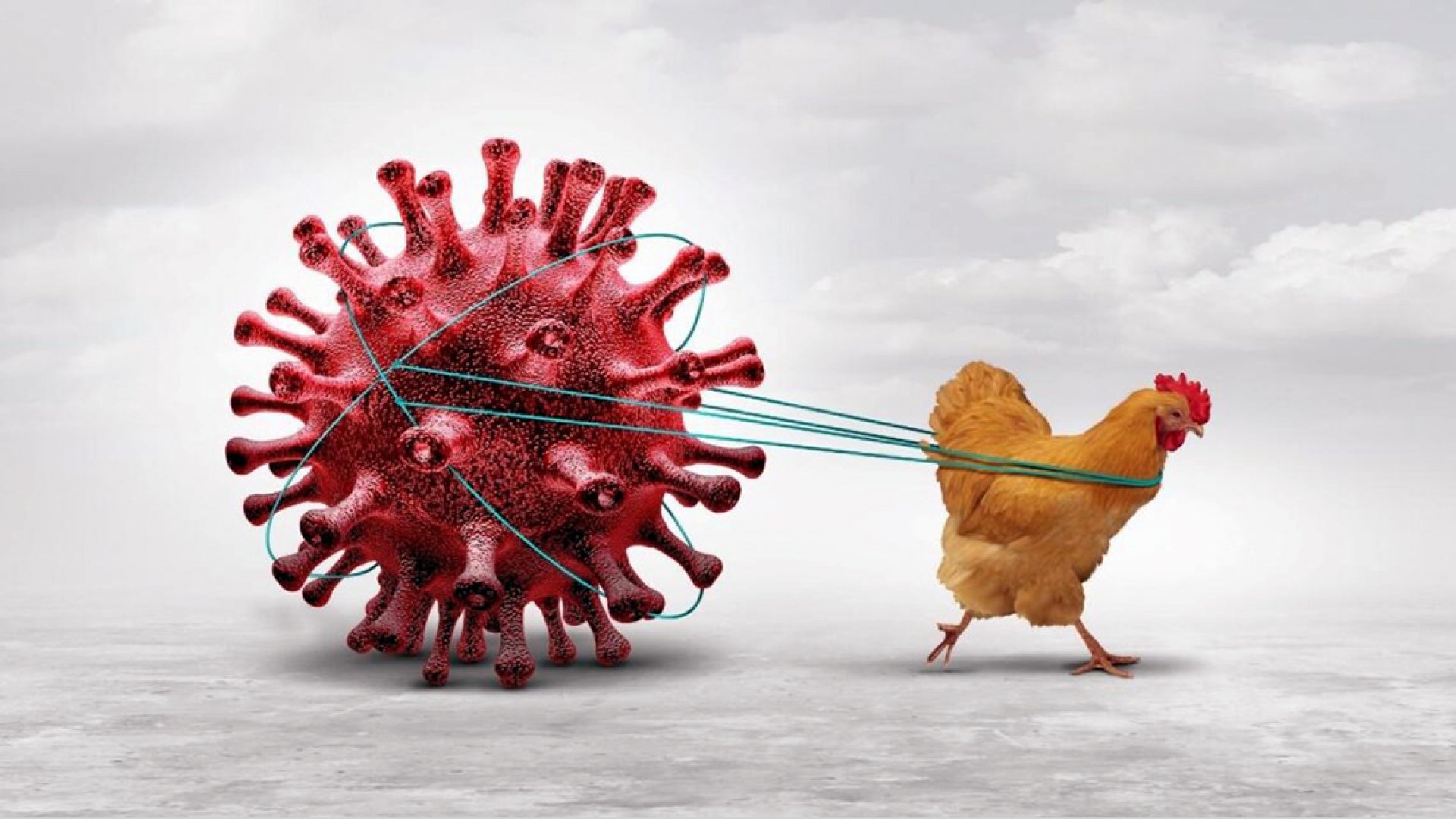 Primer caso humano de influenza aviar A(H5N1) detectado en México