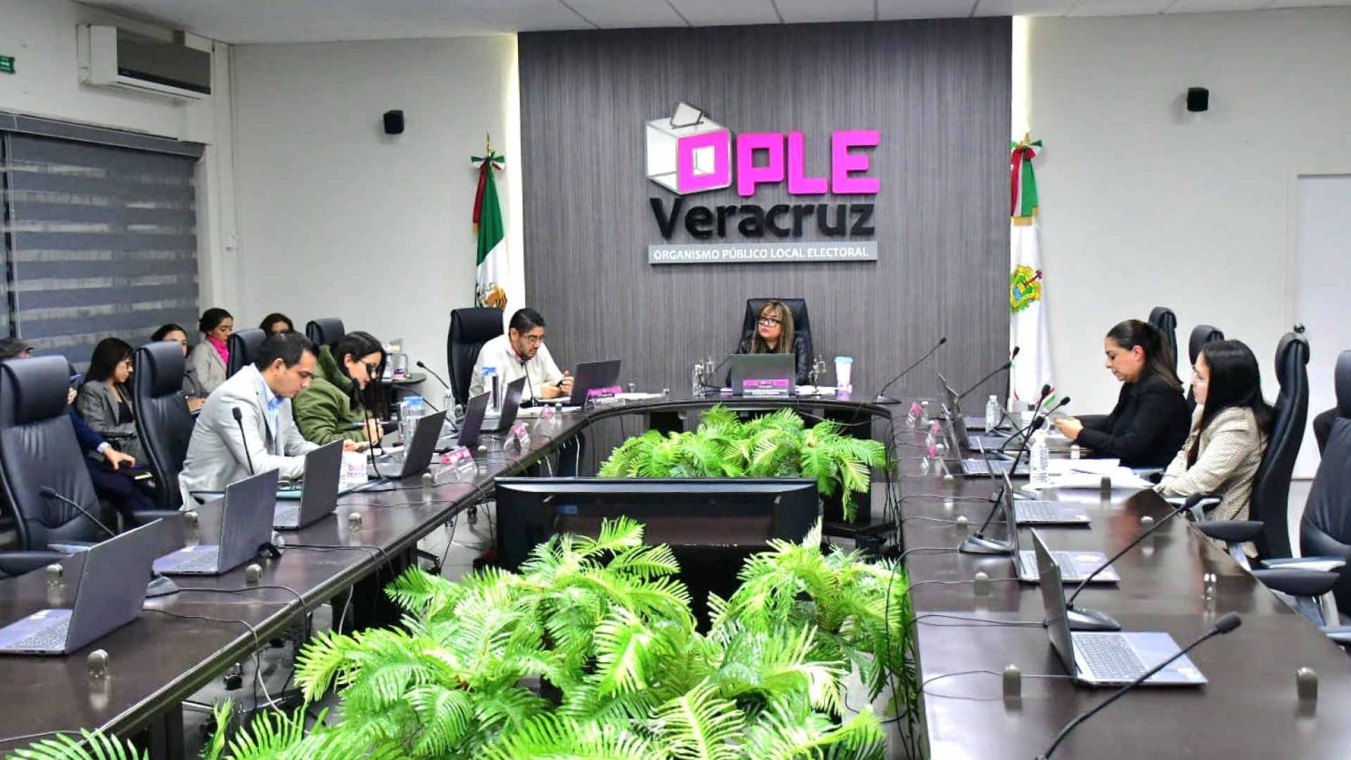 OPLE Veracruz determina topes de gastos personales de campaña del Proceso Electoral Local Extraordinario 2024-2025 para la elección de personas juzgadoras
