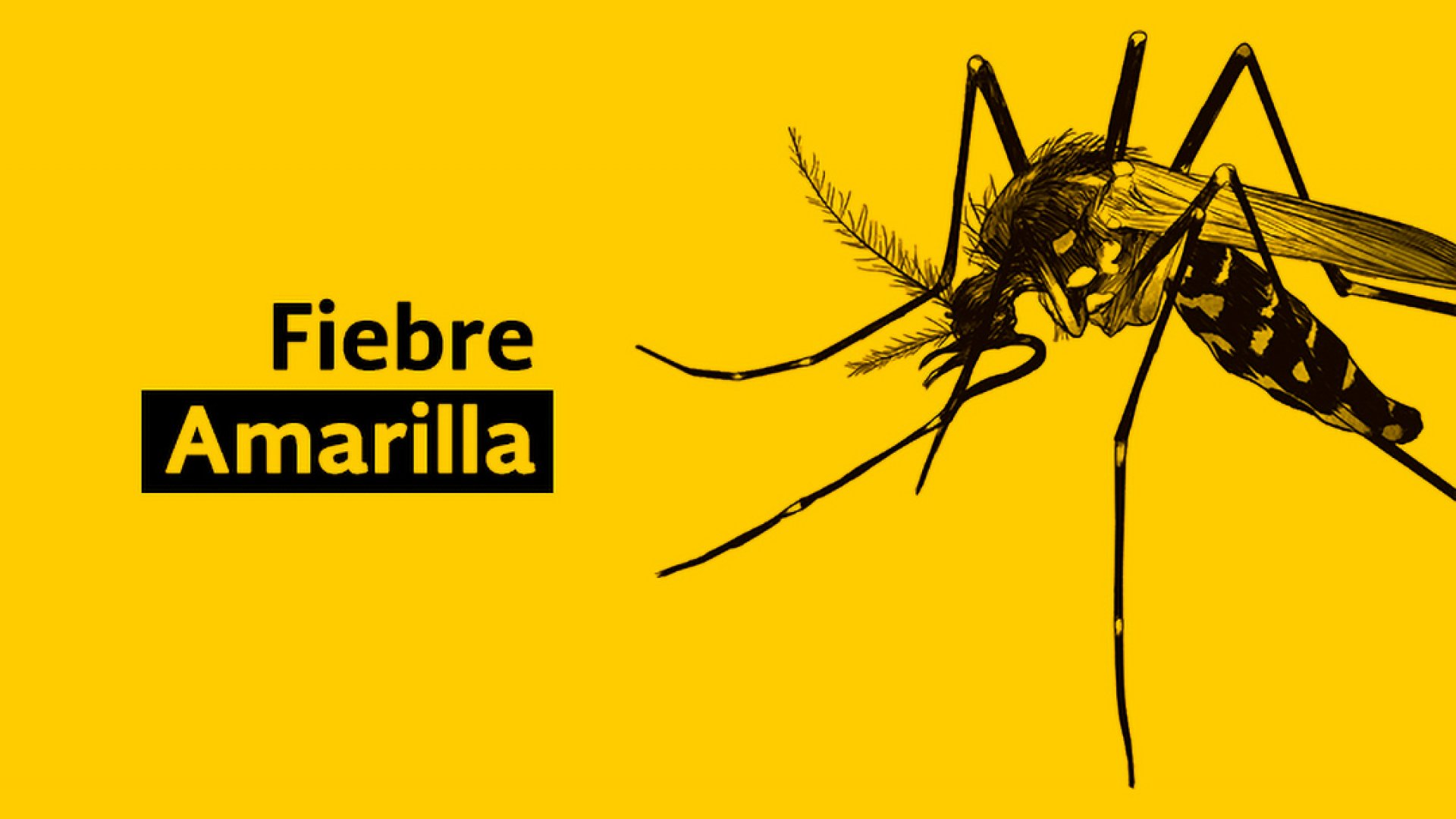 Petro declara emergencia sanitaria y económica por brote de fiebre amarilla en Colombia