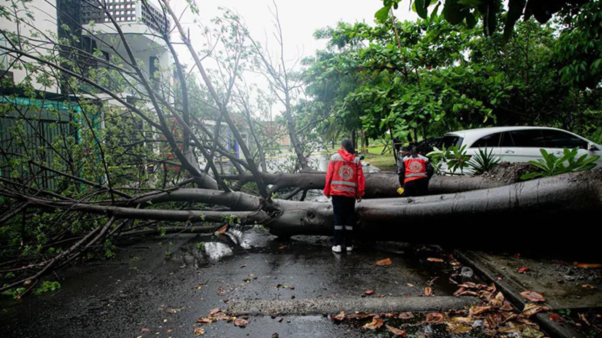 Clima | Continúa viento, con fuertes rachas, y ambiente caluroso en gran parte de México