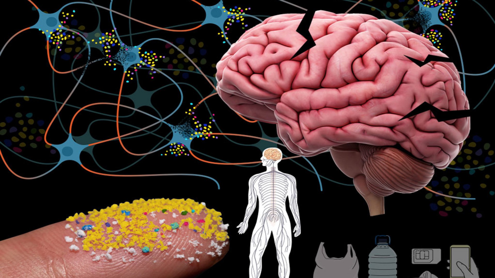 ¿Una cuchara de plástico en tu cerebro?