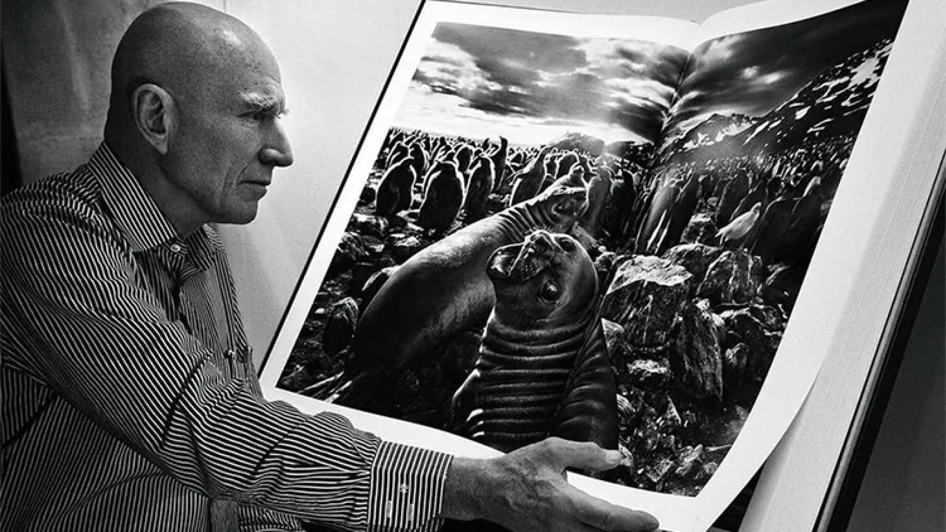 Fallece Sebastião Salgado, emblema de la fotografía mundial, a los 81 años