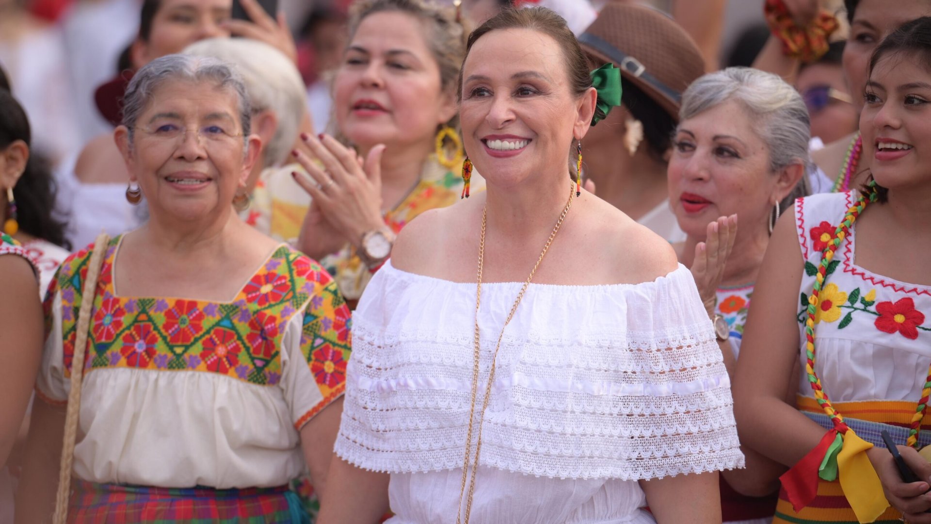 Yolpaki: Veracruz late con raíces vivas