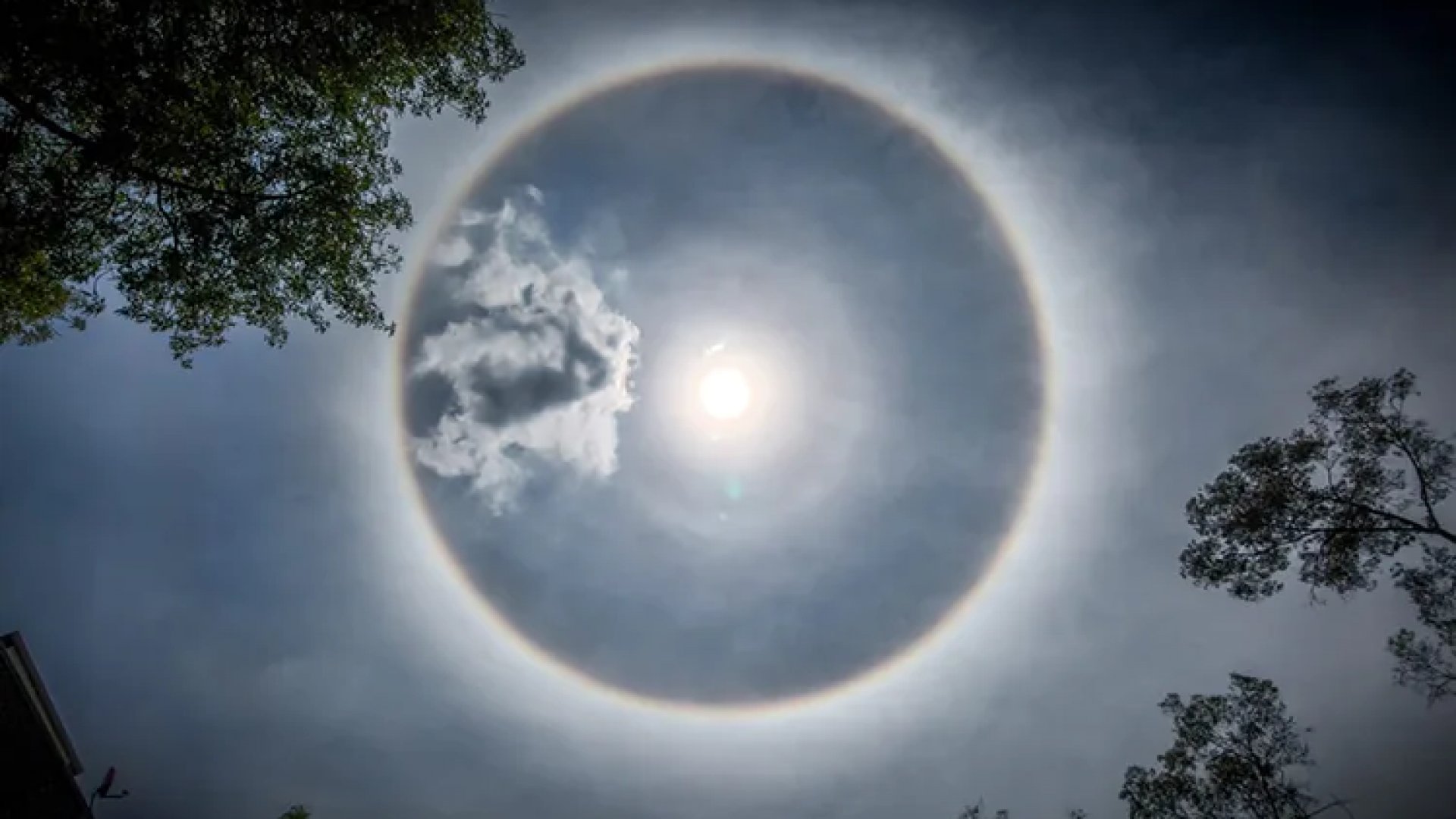 FOTOS | ¡Halo solar maravilla a la CDMX! ¿Es presagioso y peligroso?