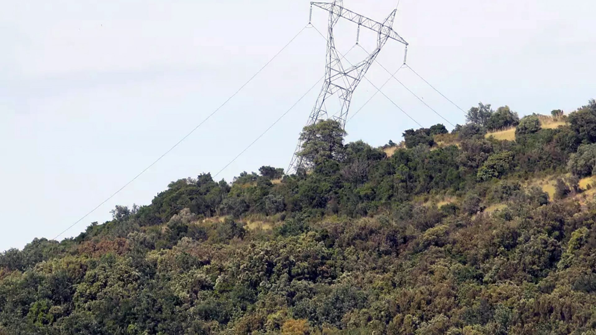 Apagón en Niza: ¿nuevo sabotaje eléctrico?