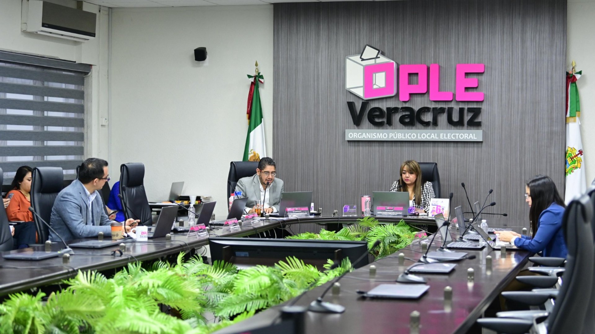 OPLE Veracruz aprueba comisionar a personal del SPEN para apoyar en la jornada electoral y sesión de cómputo del Proceso Electoral Local Extraordinario 2024-2025 para la elección de personas juzgadoras