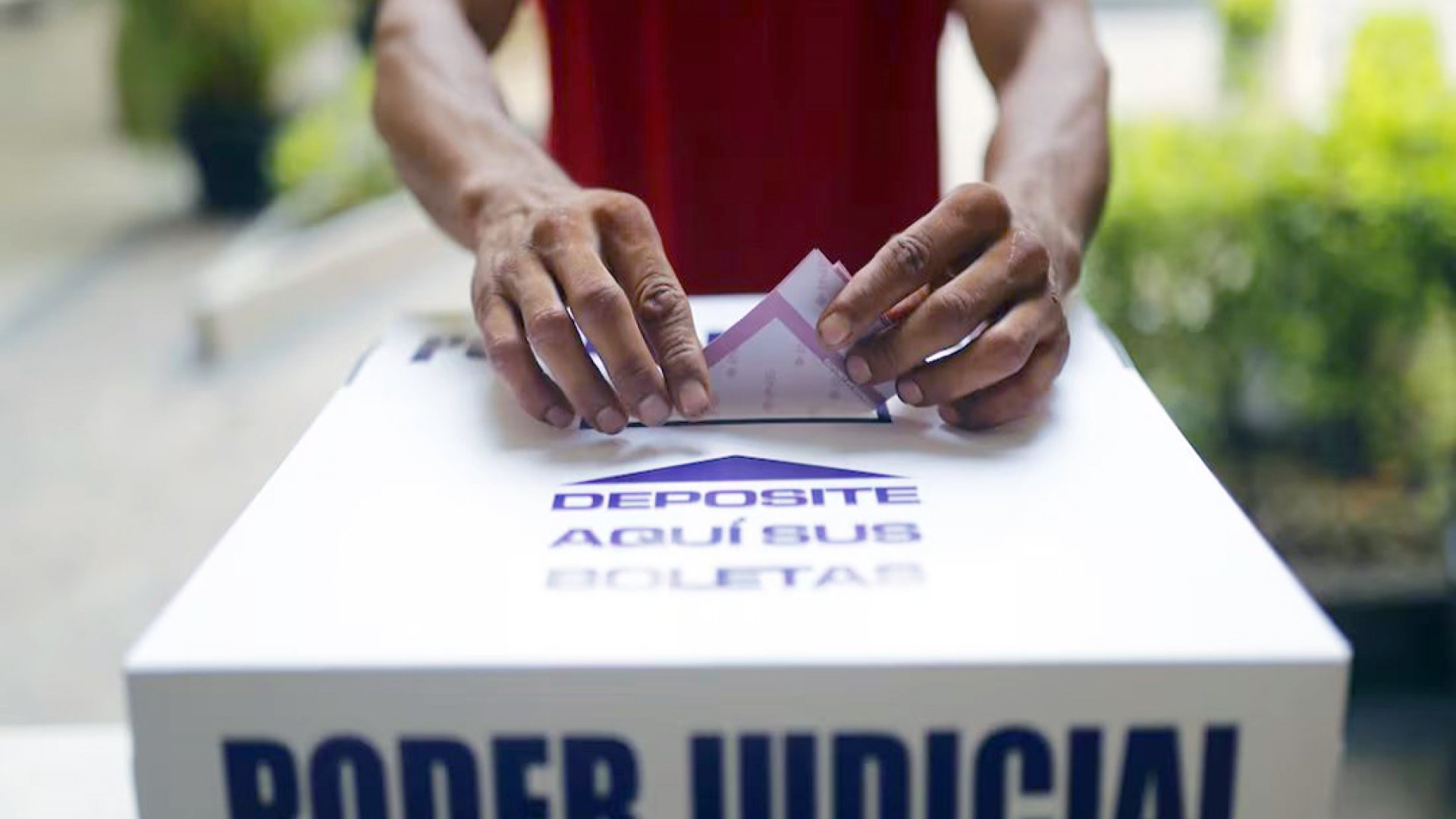 Morena arrasa; MC sorprende en elecciones veracruzanas