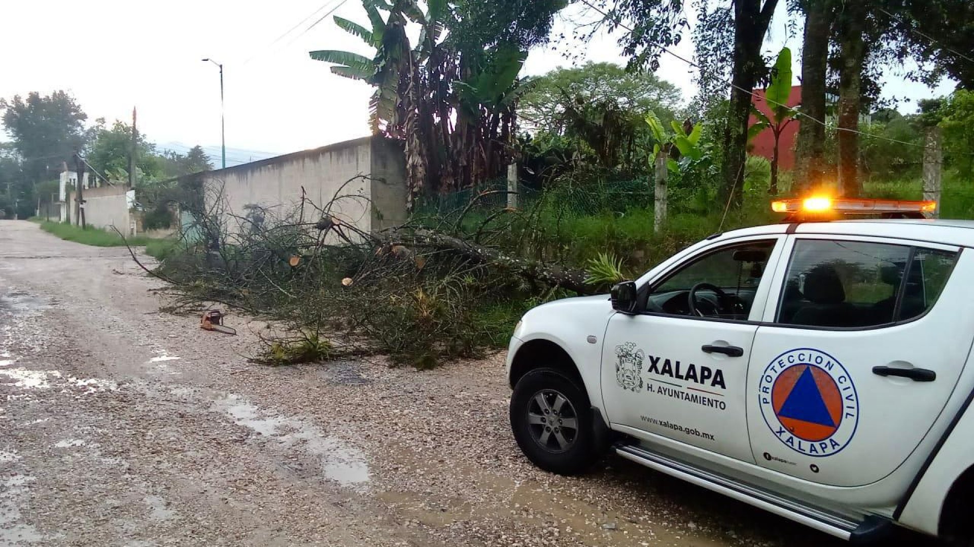 Xalapa reporta daños por lluvias de 45 mm
