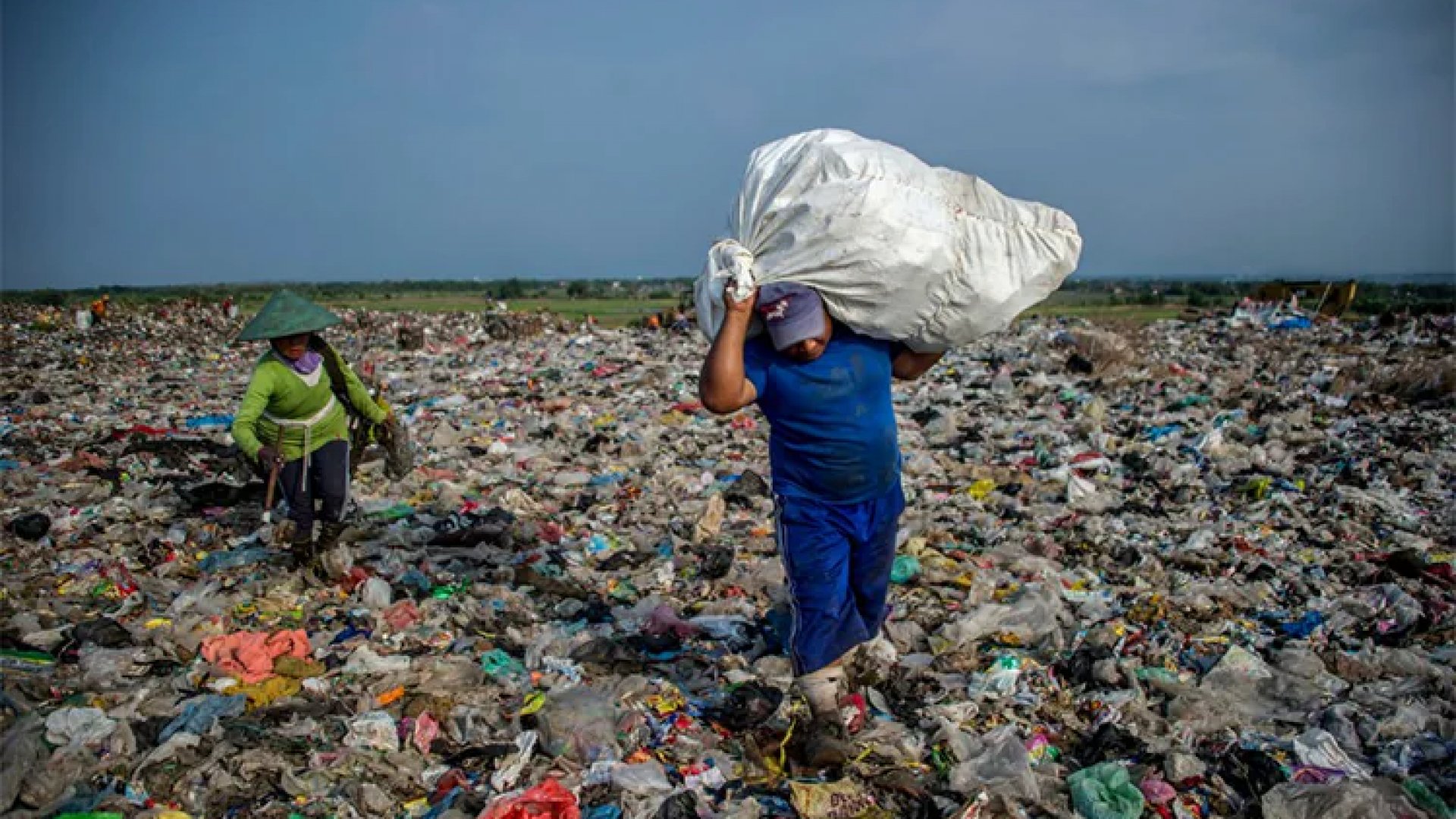 Día Mundial del Medio Ambiente 2025: “Derrotemos la contaminación por plásticos”
