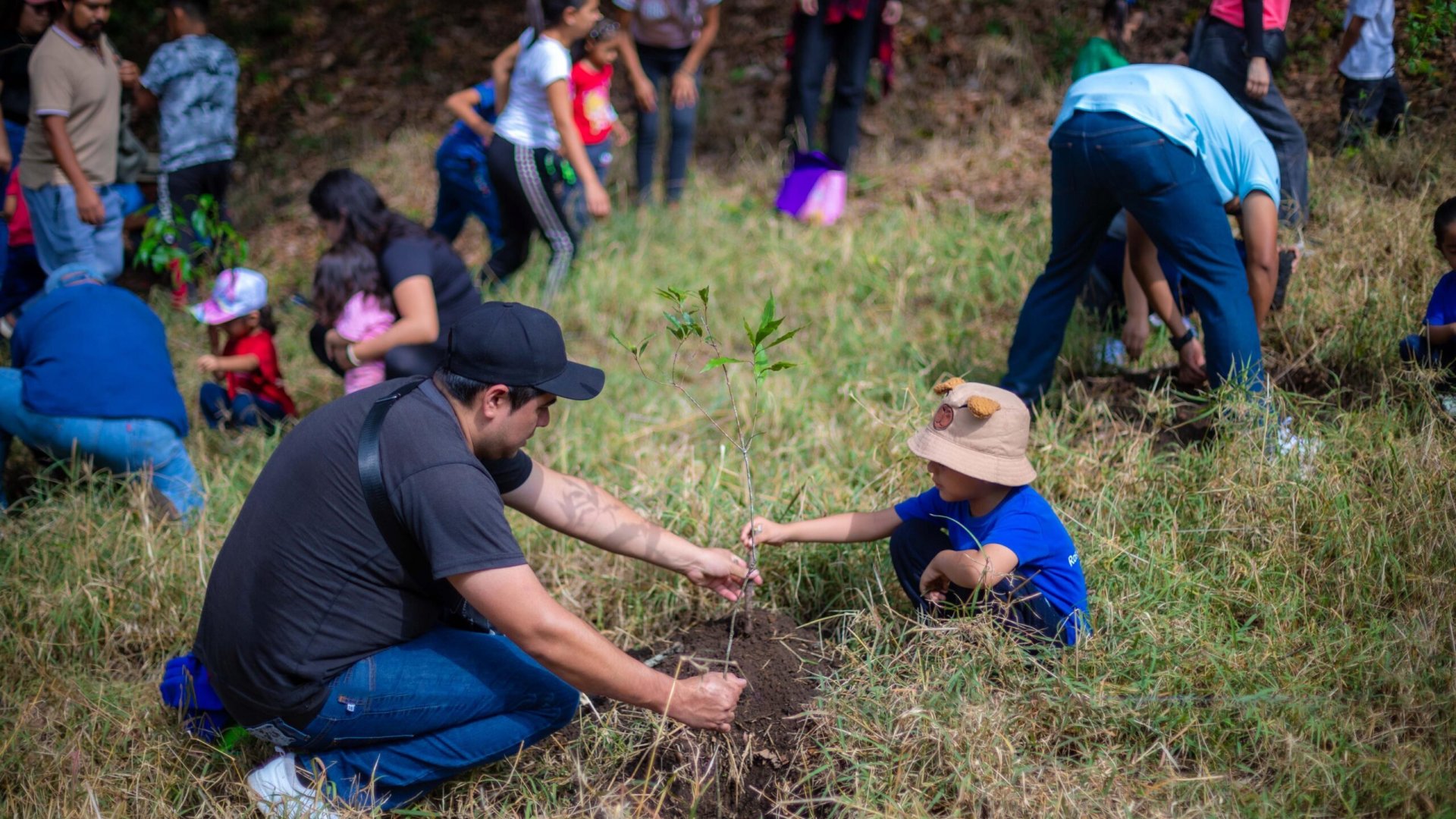 En el Día del Medio Ambiente inicia campaña de Reforestación 2025