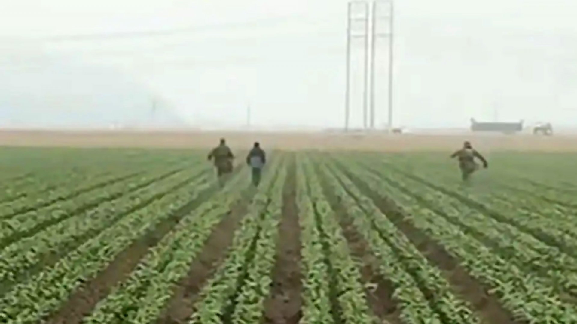 ICE intensifica persecución de migrantes en campos agrícolas