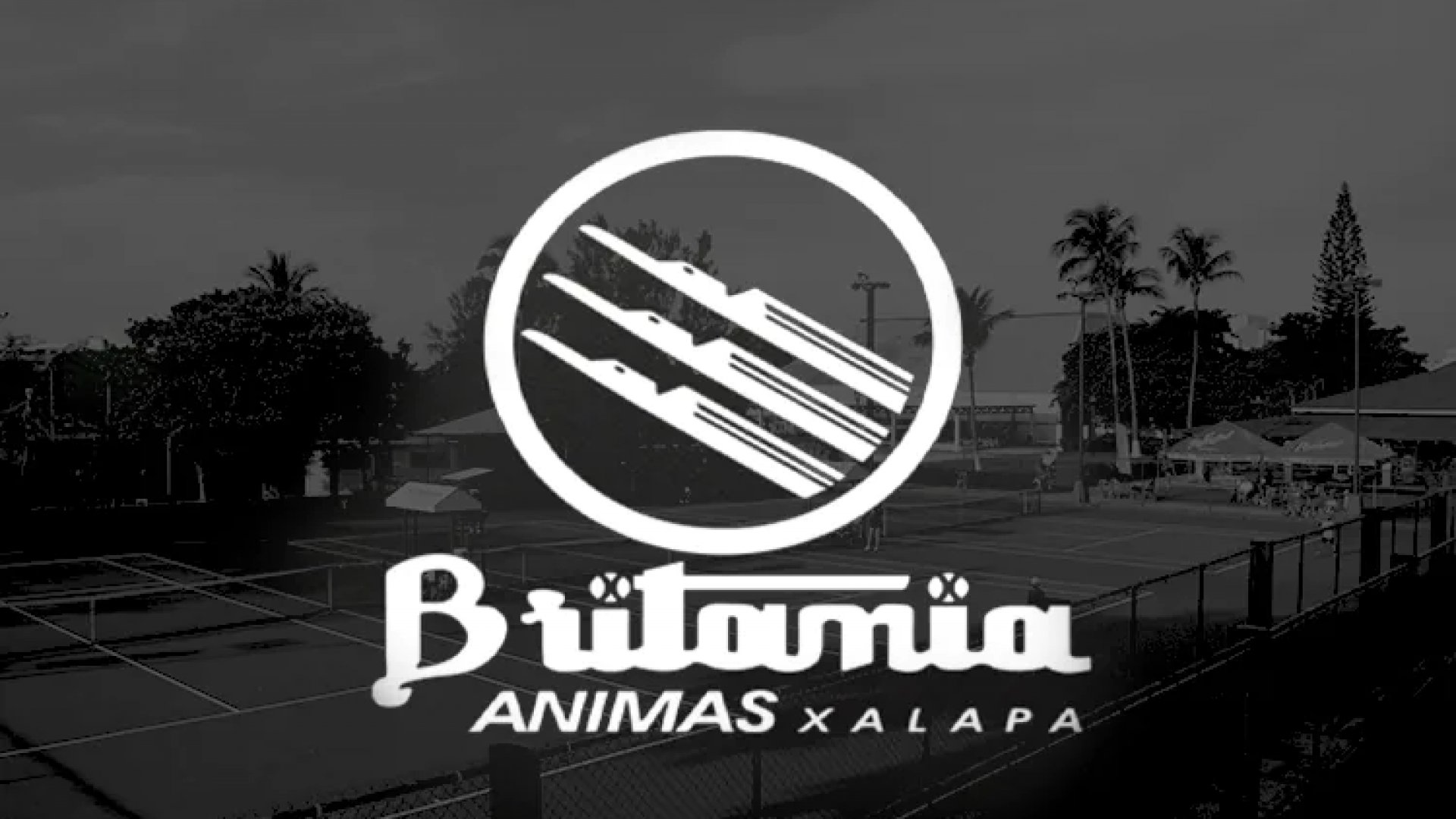 Club Britania de Xalapa enfrenta desfalco millonario; miembros se hallan consternados
