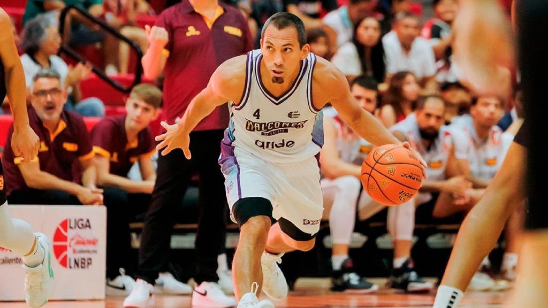 Halcones caen ante El Calor por dos puntos